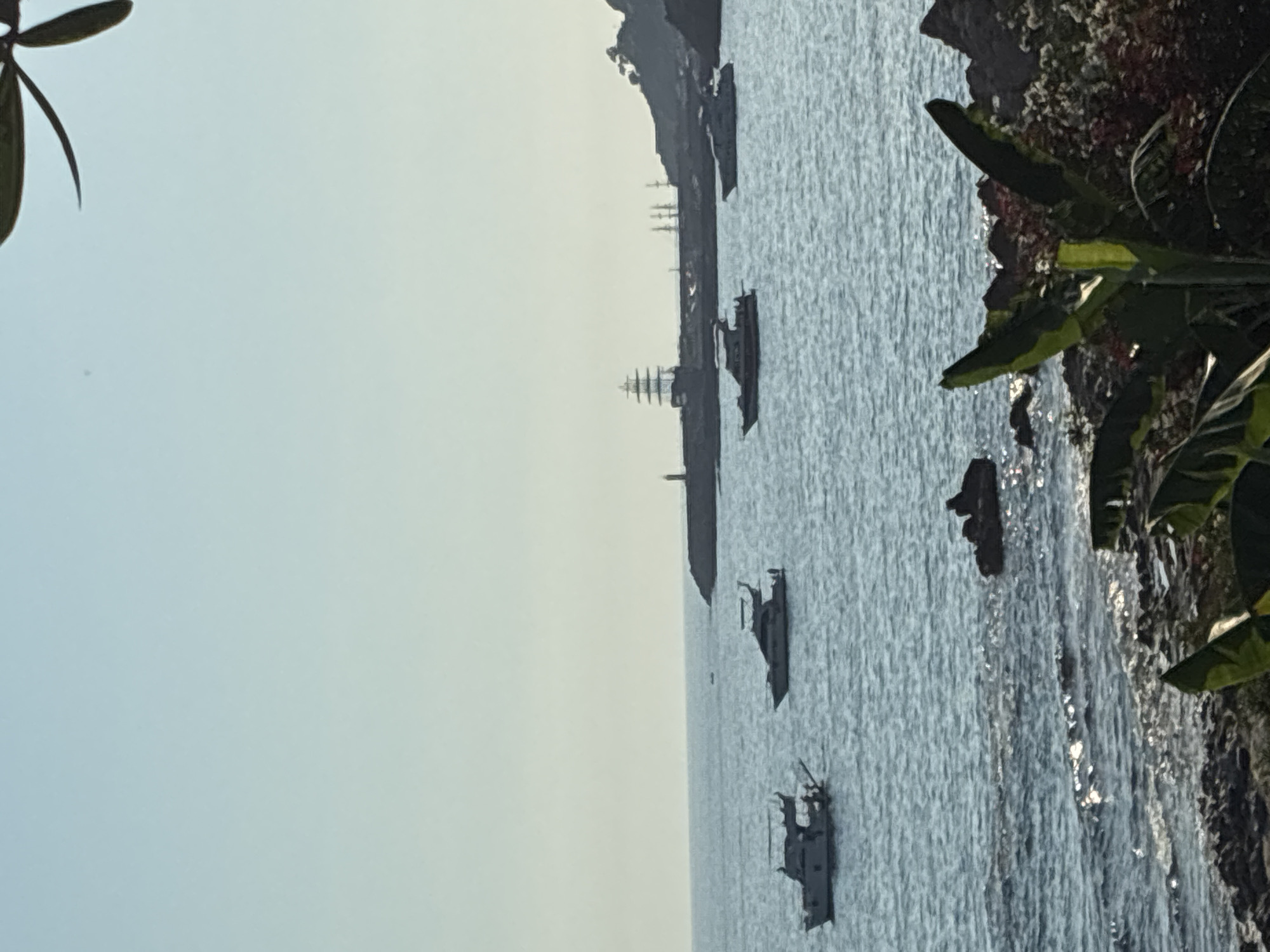 This image shows a serene coastal scene with the sea and sky dominating the frame. In the foreground, there is a rocky shoreline with some vegetation, including large green leaves that appear to be from a banana plant. The water is a tranquil blue, with small waves lapping at the shore.
Further out in the sea, several boats are visible. On the left, a white motor yacht is anchored. To its right, another white motor yacht is also stationary. In the middle distance, two more motor yachts are present.
In the background, a long pier or breakwater extends into the sea, with a lighthouse visible on its far end. A distinctive, large sailing ship with multiple masts is docked or anchored near the breakwater, suggesting it might be part of a historical reenactment or a permanent exhibit. To the right of the breakwater, a rocky coastline rises, forming hills with some trees. The overall impression is one of a peaceful day at sea, possibly in a harbor or bay area. Given the distinct architecture of the sailing ship and the general landscape, this scene is likely located in Alanya, Turkey, possibly near the famous Alanya Castle area or its harbor.