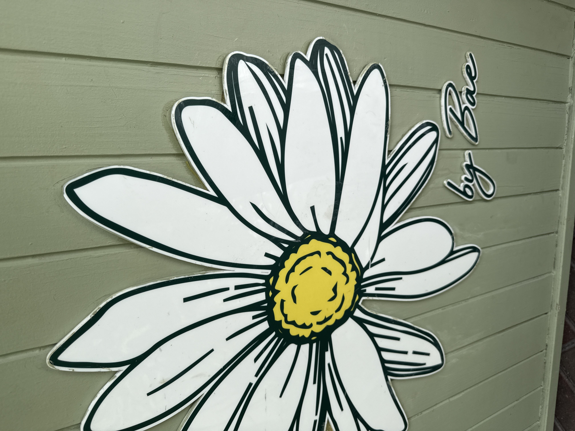 A daisy emblem adorns the side of a light green building, accompanied by the words "by Bae." The location is Fort Lauderdale, USA. The daisy has white petals, a yellow center, and dark green outlines. The words "by Bae" are to the upper-right of the flower. The background is a light green horizontal paneling.