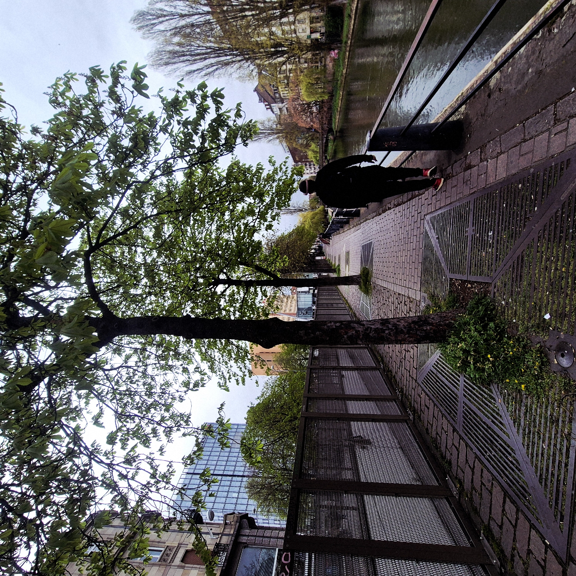 A full shot shows a tree on the left of a brick sidewalk next to a canal with buildings on the opposite bank, while a person in dark clothing walks on the sidewalk. The sidewalk is bordered by a metal barrier. The photo appears to be taken in Strasbourg, France.