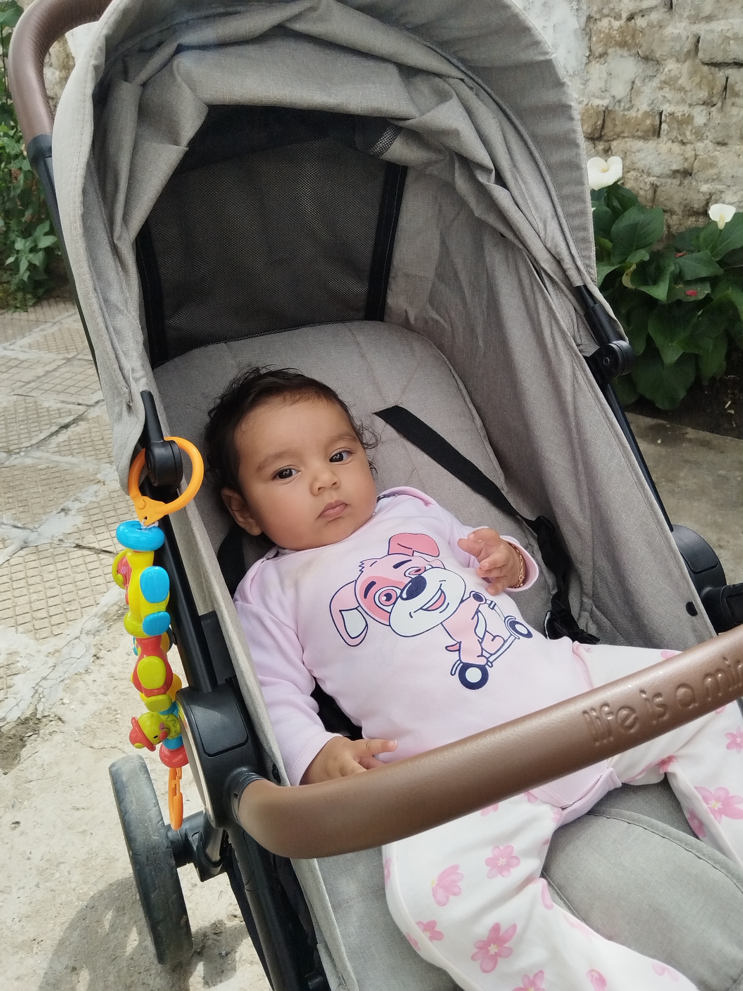 An outdoor, eye-level shot captures an infant resting in a grey baby stroller. The baby, with a medium skin tone and dark, curly hair, looks directly at the viewer with a neutral, observant expression. They are dressed in a long-sleeved pink onesie featuring a cartoon dog character (resembling Skye from Paw Patrol) riding a scooter, paired with white pants adorned with pink floral patterns. A small golden bracelet is visible on the baby's right wrist.
The stroller has grey fabric upholstery and a black frame. A black safety harness secures the baby. Attached to the stroller's side is a colorful plastic toy with segments of yellow, blue, red, and orange. The stroller also features a brown handle or bumper bar in the foreground, with the embossed text "Life is a mi" visible, likely part of "Life is a miracle" or a similar phrase. Parts of the stroller's wheels are visible near the bottom left.
The setting appears to be a paved outdoor area, possibly a patio or garden path, made of light-colored concrete or stone. In the background, green foliage and plants are visible, along with white flowers (possibly calla lilies) next to a textured stone wall. The lighting is bright but diffused, suggesting daytime, possibly under an overcast sky or in indirect sunlight, as there are no harsh shadows. The overall scene depicts a calm moment of the baby outdoors in their stroller.