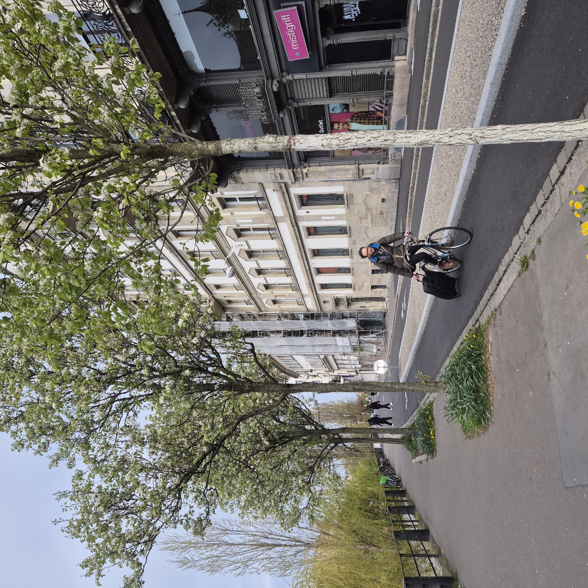 The image depicts a man riding a bicycle with a suitcase attached, traveling along a bike path in Strasbourg, France. The architecture suggests an urban setting with historical buildings. Blooming trees line the street, indicating a springtime scene. Nearby shops include Mistigriff Outlet, and some buildings are under construction. Other pedestrians are also visible in the background. The lighting is bright, suggesting it is daytime.