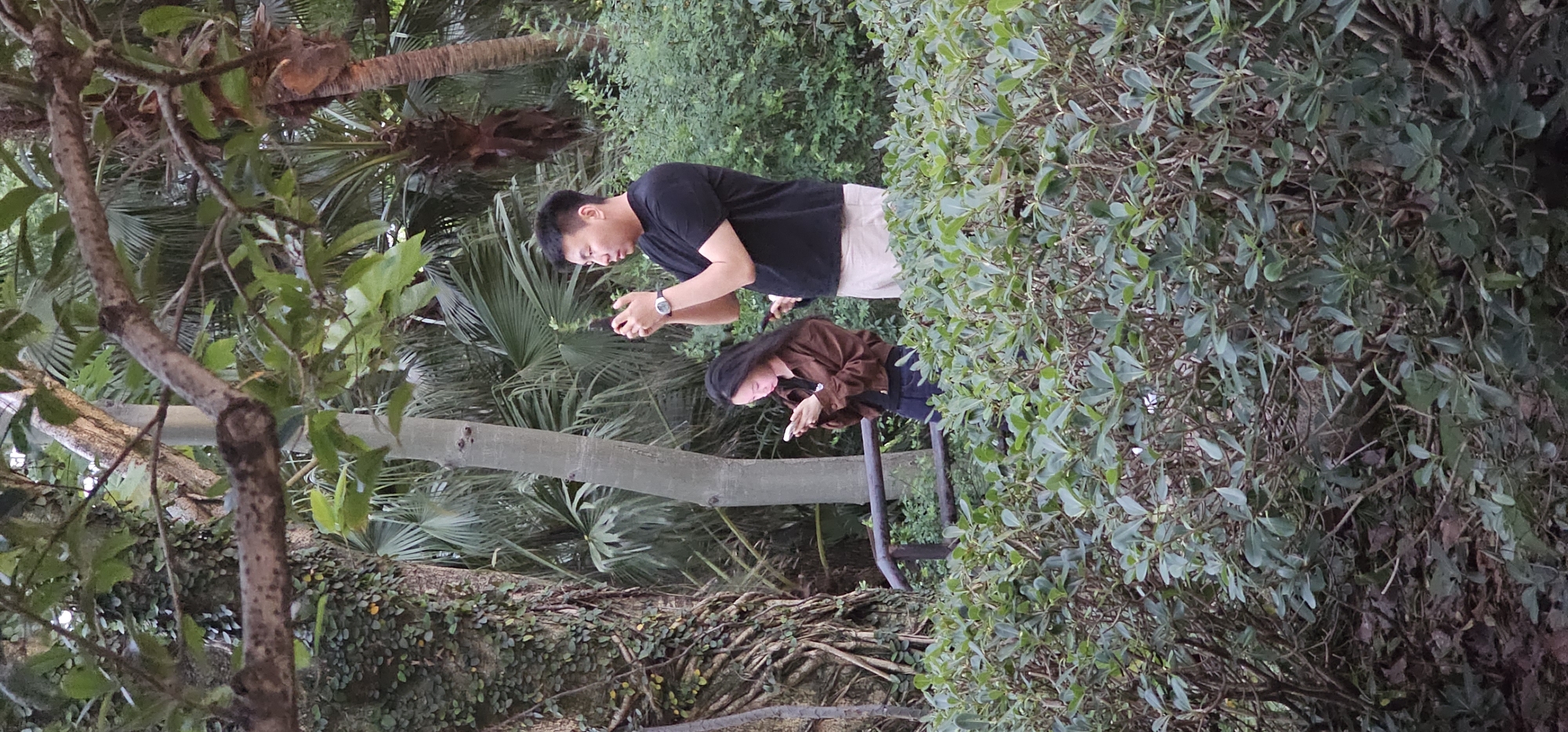 A medium shot shows two people standing in a wooded area in Yuzhong District, China. A man, wearing a black t-shirt and light-colored shorts, is looking down at a phone in his hands. Next to him, slightly behind, is a woman with long black hair, wearing a brown top, also looking at a phone. They are standing on what appears to be a set of metal stairs or railing surrounded by lush green vegetation. In the background, there are palm trees and other dense foliage, creating a natural and slightly overgrown environment. The image is taken at eye level, and the focus is primarily on the two individuals.