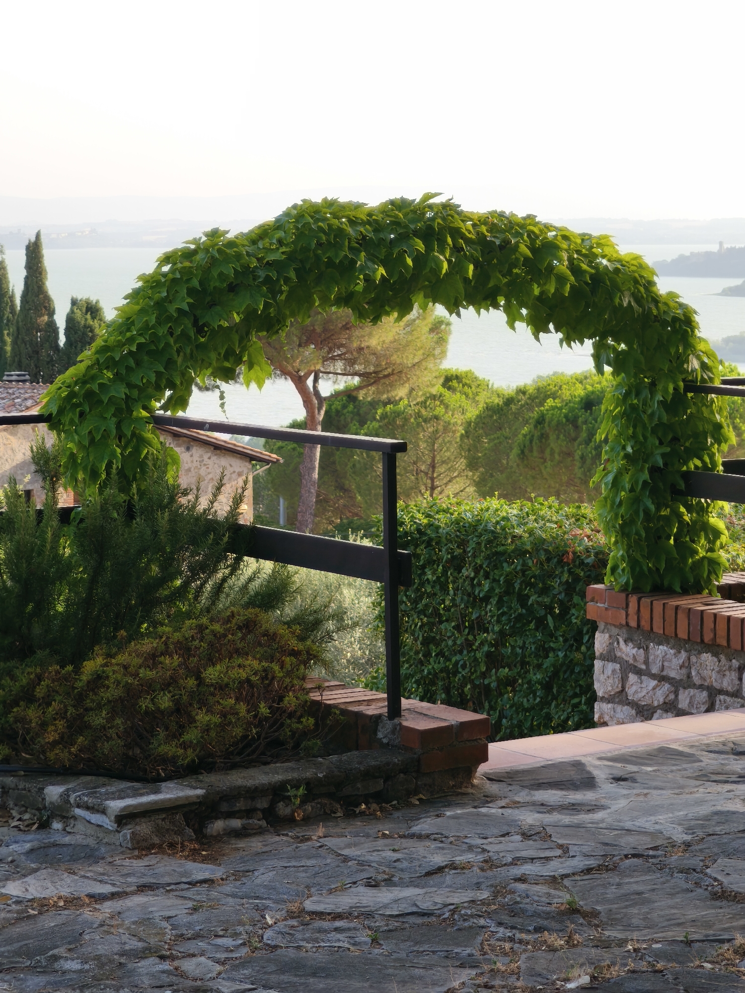 The image depicts an arched garden trellis covered in lush green ivy, forming a natural canopy over a paved walkway. The walkway is constructed from irregular, flat stones with some dried leaves scattered on top. To the left of the trellis, a dense evergreen shrub stands prominently, its branches reaching upwards. Behind the shrub, a rustic stone building with a terracotta roof is partially visible.
The trellis is supported by dark, thin metal posts, one of which is visible on the right side of the image. This post is anchored to a low wall constructed from rough-hewn stone and topped with a layer of red brick. Another section of this brick and stone wall is visible to the right of the trellis. Beyond the trellis and walls, a vibrant green hedge forms a solid backdrop.
Further in the distance, a body of water, likely Lake Trasimeno, stretches out, with rolling hills and trees lining its shores. The sky is bright and hazy, suggesting either early morning or late afternoon light. The overall scene evokes a sense of tranquility and natural beauty, common in the charming Italian landscape of Passignano sul Trasimeno. There are no people or animals visible in the image.