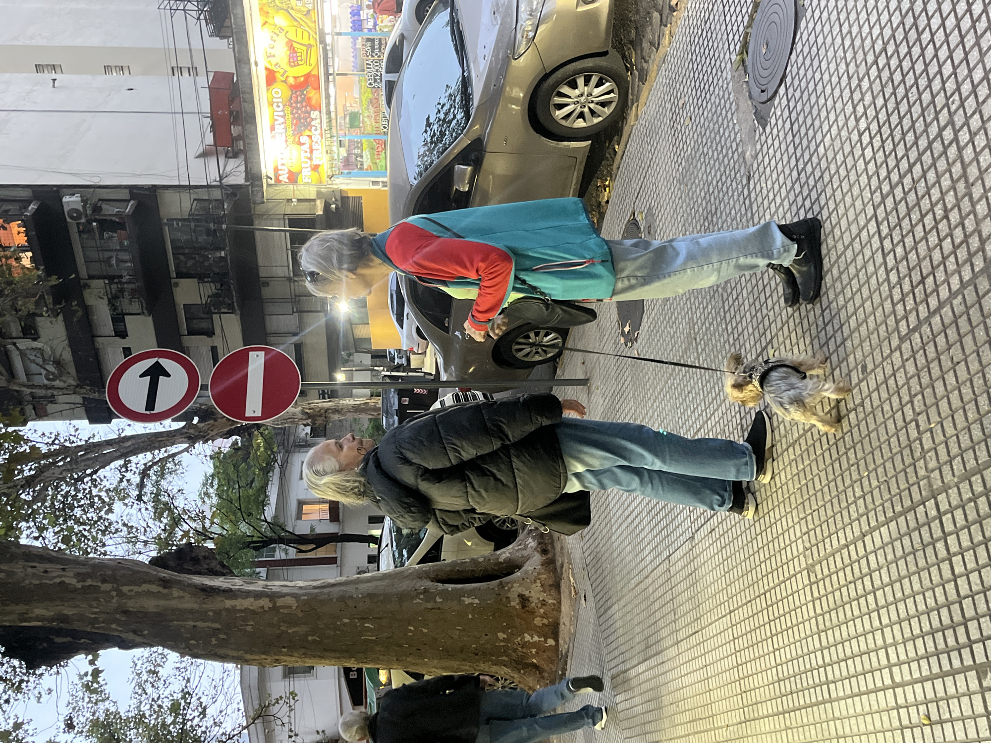 The image depicts a street scene in Buenos Aires, Argentina. An older woman with short gray hair, wearing a red and teal jacket and jeans, walks a small, long-haired dog on a leash. She is walking on a tiled sidewalk next to parked cars. Another older woman, wearing a dark puffer jacket and jeans, is walking in the opposite direction. Further down the sidewalk, a third person is walking. A large tree trunk is visible along the sidewalk, partially obscuring the view of the building behind it. A "One Way" street sign and a "Do Not Enter" sign are visible in the background. A fruit store with bright lights is visible above the parked car. The sky is overcast.