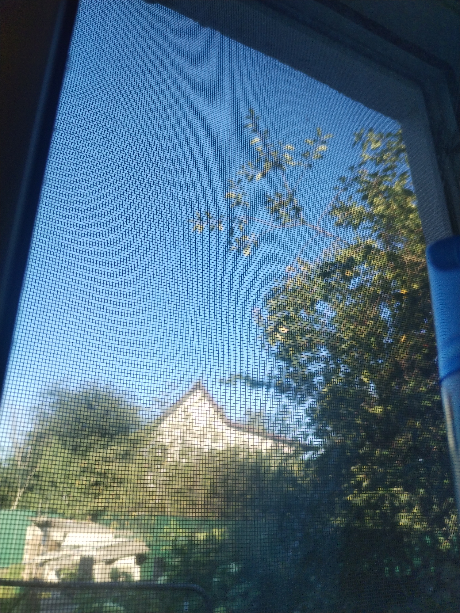 The image shows a view through a window screen. The sky is a clear blue. There are trees with green leaves visible, some of which are illuminated by sunlight. In the background, a white house with a triangular roof is partially obscured by the trees. A structure that appears to be a shed or garage with a green roof is also visible in the lower left of the image. A blue object, possibly a bottle or can, is visible on the right edge of the frame. The scene is likely a residential area.