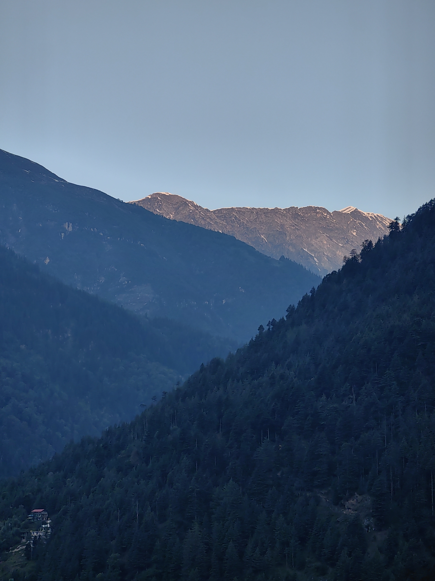 This is a vertical, medium-shot photograph of the mountains surrounding Vashisht, India, taken from a distance. The sky is a pale blue, transitioning to a darker blue towards the horizon. The foreground is dominated by a steep, densely forested mountainside covered in dark green pine trees. A small cluster of buildings, appearing to be houses and guesthouses, is visible on the lower left slope of the mountain. Further back, the mountains are layered, with the slopes becoming less densely forested and revealing rocky terrain. In the distance, the peaks of the mountains are covered in snow and are illuminated by the soft, golden light of either sunrise or sunset, creating a stark contrast with the shadowed slopes below. The overall impression is one of natural grandeur and serene mountainous landscape.