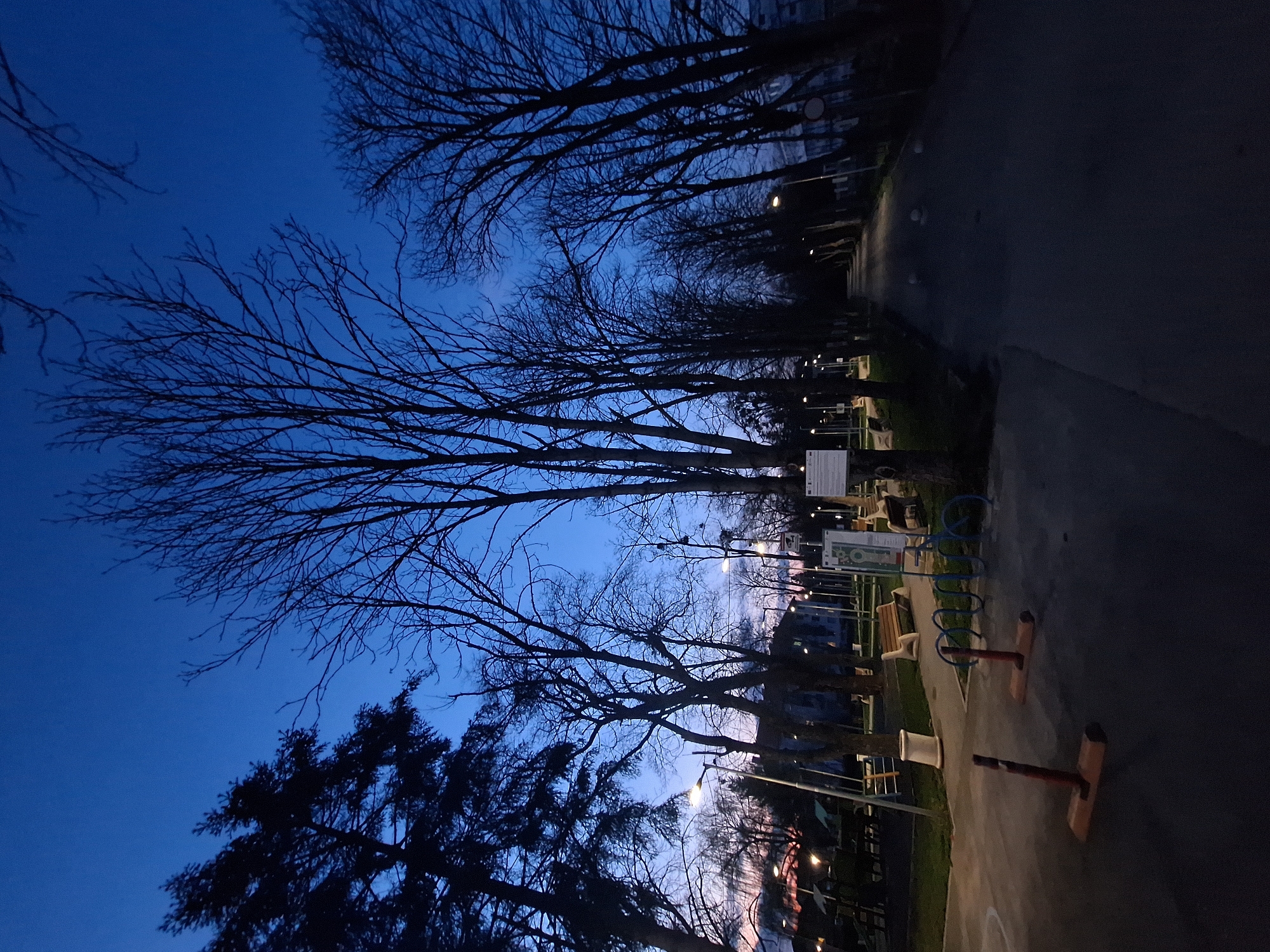 The image shows an outdoor park scene at dusk or dawn in Dolni Chiflik, Bulgaria. Silhouetted bare trees line the edge of a paved pathway. Visible on the pathway are pieces of playground equipment and benches. Buildings and streetlights can be seen in the background. The sky is a deep blue color.