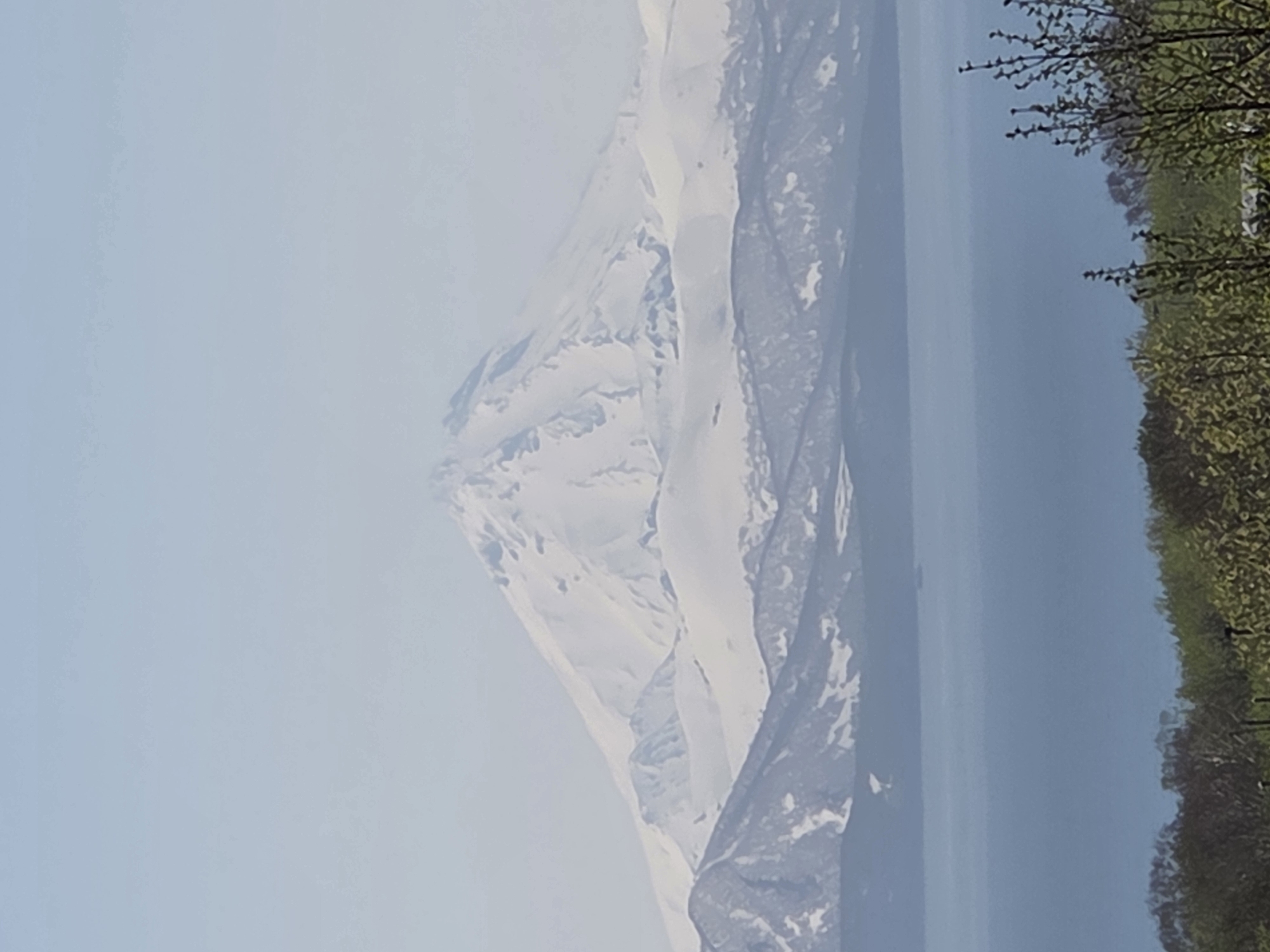 The scene depicts a panoramic landscape from a vantage point in the city of Unknown, Unknown, featuring a prominent snow-capped mountain range, a body of water, and foreground vegetation under a hazy, light blue sky.
In the far background, a large, irregularly conical, snow-covered mountain peak dominates the upper central portion of the image. Its slopes are extensively covered in white snow, displaying contours and shadows. In front of this main peak, successive layers of smaller, snow-dusted mountains and hills appear in varying shades of gray and white, indicating distance and atmospheric haze.
Below the distant mountains, a wide expanse of calm, deep blue water stretches horizontally across the mid-ground. On the water's surface, a faint, dark, elongated object, possibly a vessel, is discernible slightly to the right of the center.
The immediate foreground consists of a dense layer of deciduous trees and shrubs, rendered in darker green and brown tones. Some branches appear mostly bare or with early spring foliage, particularly on the bottom right and left, and are slightly out of focus relative to the distant landscape. The overall lighting suggests daytime under a somewhat overcast or hazy sky. No people, buildings, or specific actions are visible.