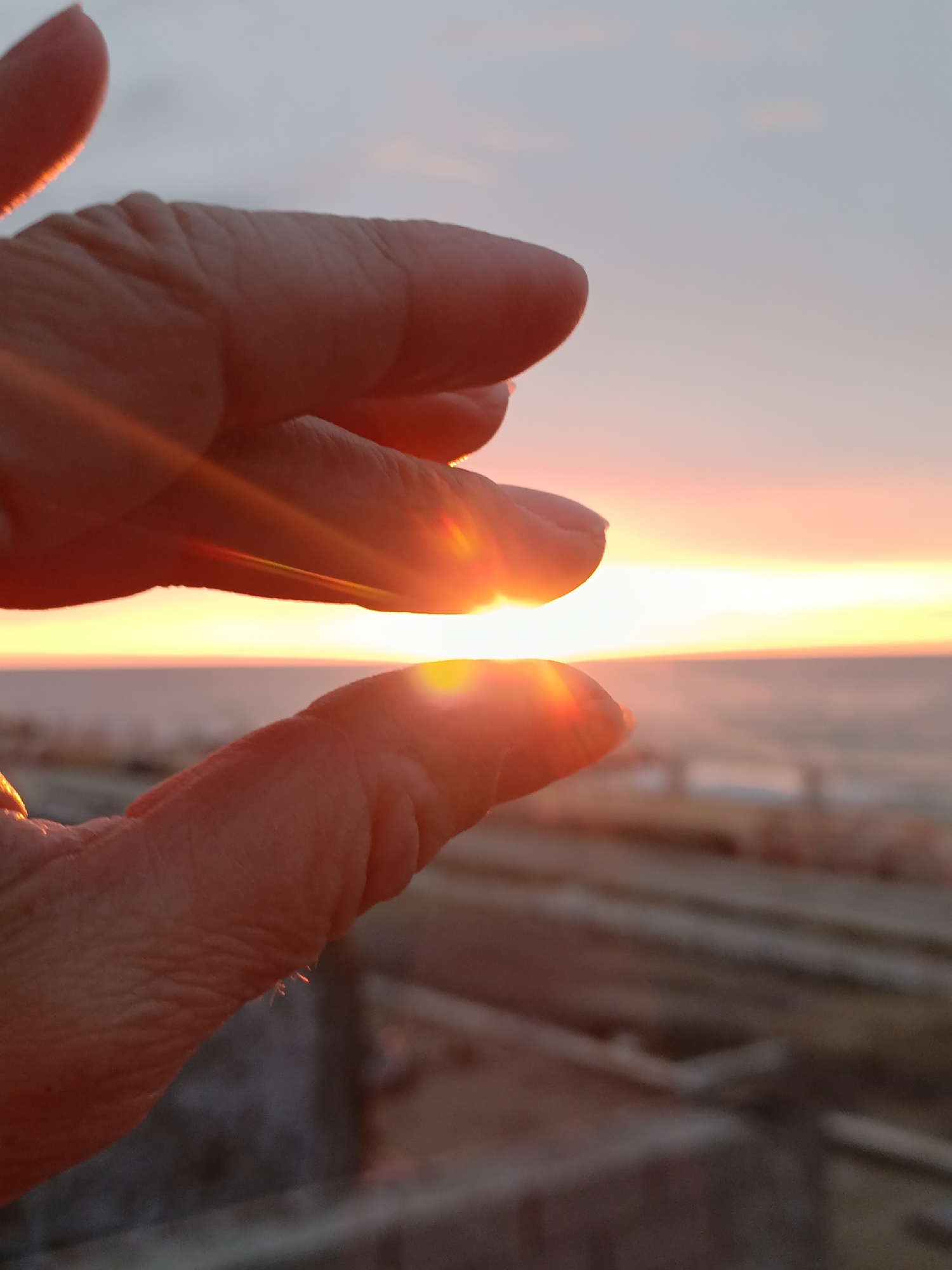 A close-up captures a sun-drenched moment at sunset. A hand, positioned near the camera, appears to be "holding" the sun between the tips of two fingers. The background reveals a blurred seascape where the horizon is visible. The location is the Baltic Sea beach front of Svetlogorsk, Russia, near the promenade.