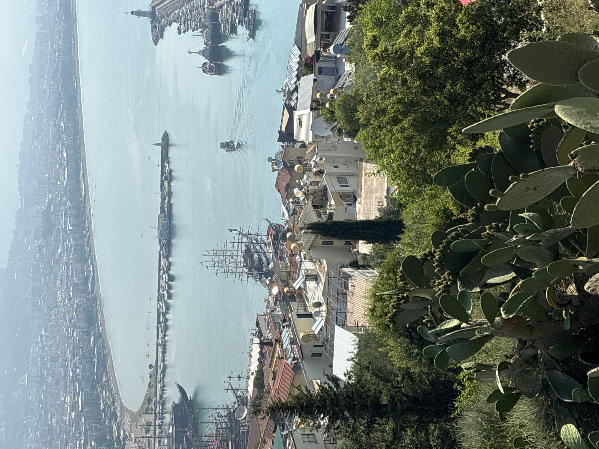 This aerial, eye-level, long shot captures a panoramic view of the city of Alanya, Turkey, from an elevated vantage point. In the foreground, large, green prickly pear cactus plants dominate the frame, their flat pads extending outwards. Behind the cacti, a dense forest of green trees and foliage creates a natural barrier.
The midground transitions to a cluster of white and beige buildings with terracotta tiled roofs, indicative of Mediterranean architecture. Several buildings feature flat, open-air spaces, some covered with glass or mesh structures, suggesting rooftop terraces or conservatories. Satellite dishes are visible on some of the rooftops, and solar panels are present on others. A tall, slender evergreen tree stands to the left of the buildings, and another similar tree is visible to the right.
Further into the background, the turquoise waters of the sea are visible, dotted with various vessels. Several large, multi-masted sailing ships are moored in the harbor, their rigging prominent. Smaller motorboats and yachts are also present, with one motorboat actively navigating the water, leaving a wake. Along the coastline, a long, curved sandy beach is lined with what appear to be beach chairs and umbrellas. A breakwater extends into the sea, protecting the harbor. In the distance, a densely populated cityscape stretches along the coast, with buildings of varying heights and colors under a hazy sky. A lighthouse stands on a rocky outcrop on the right side of the harbor entrance. The overall scene depicts a vibrant coastal city with a mix of natural beauty and urban development.