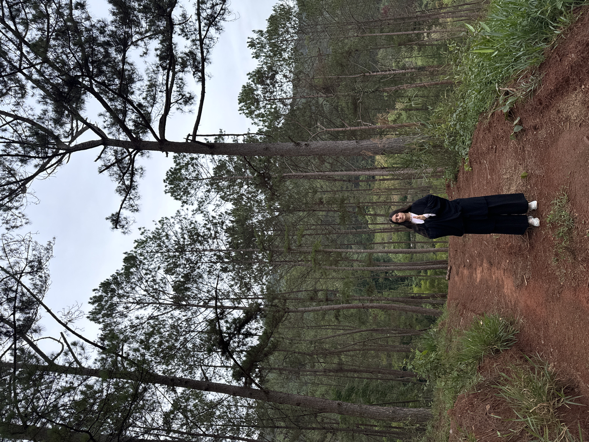 The image depicts a woman standing on a narrow, reddish-brown dirt path surrounded by a dense pine forest. The location is Da Lat, Vietnam. The woman has dark hair and wears a dark, long-sleeved garment over a white shirt, paired with dark pants and white sneakers. The path is lined with green grass and vegetation. Tall pine trees dominate the scene, extending upwards into the sky, which is overcast. The perspective is from ground level, looking up towards the trees and the sky.