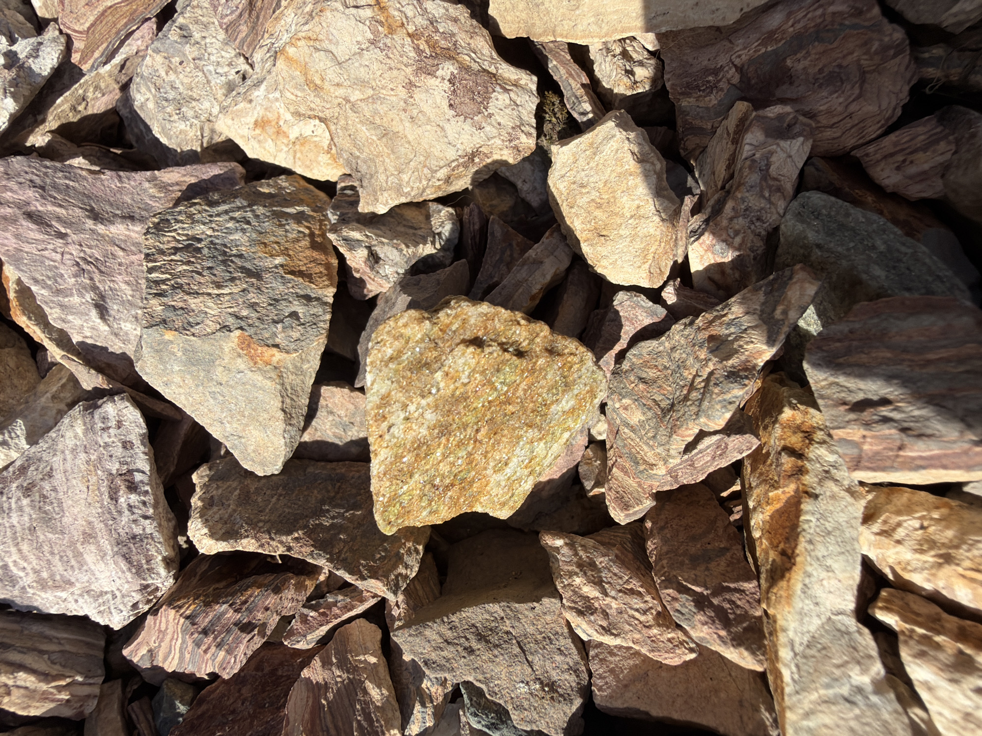 This media file presents a close-up, top-down view of a dense pile of angular rocks. The rocks vary in size and shape, with many displaying rough, irregular surfaces and distinct layering or banding patterns, indicative of natural geological formations such as shale, slate, or schist. The predominant colors of the rocks include shades of beige, tan, reddish-brown, grey, and some with a yellowish-green hue, particularly a prominent rock near the center of the main image which exhibits a noticeable sparkle, suggesting crystalline components.
The scene is illuminated by bright sunlight, casting sharp, defined shadows among the rocks. These shadows create depth and highlight the uneven textures of the stone, indicating a clear, sunny day, likely during late morning or early afternoon. The setting appears to be outdoors, possibly a natural landscape feature, a rock garden, or a collection of decorative stones. There is no visible text, and no people or specific activities are depicted. The location context is Chaikovsky, Russia.