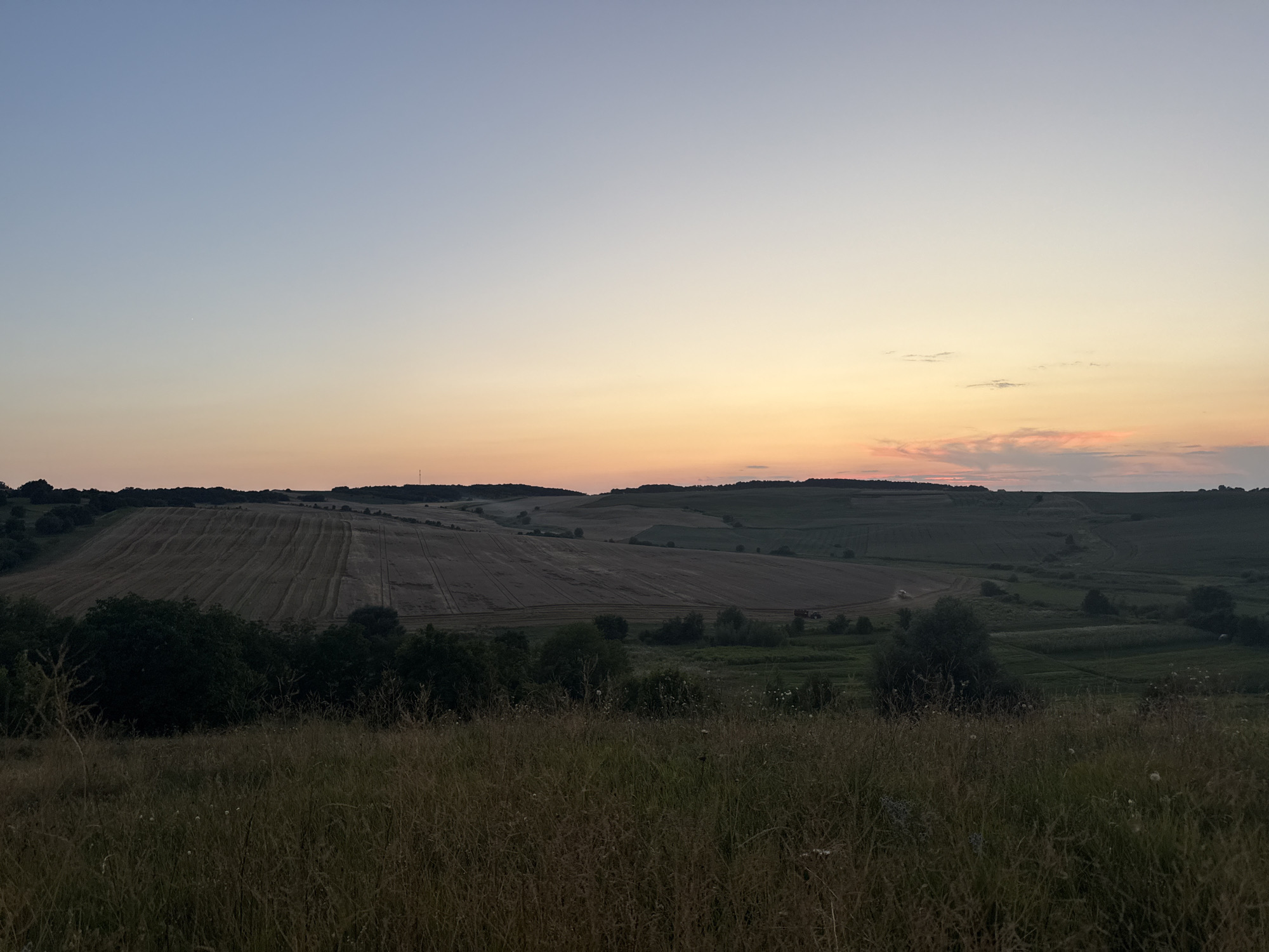 A wide-angle, low-angle photograph captures a rural landscape at dusk. The sky transitions from a pale blue at the top to a soft orange and pink gradient near the horizon, with a few wispy clouds visible on the right. The foreground is dominated by tall, dry grass. In the middle ground, rolling hills are covered in fields, some appearing to have been recently harvested with visible stubble and patterns from agricultural machinery. A dark line of trees separates the foreground grass from the fields. In the distance, more undulating hills and scattered trees create a layered effect. A faint tower is visible on the rightmost hill. The overall atmosphere is serene and natural, indicative of a countryside setting. There are no people or discernible human structures other than the agricultural patterns in the fields.
