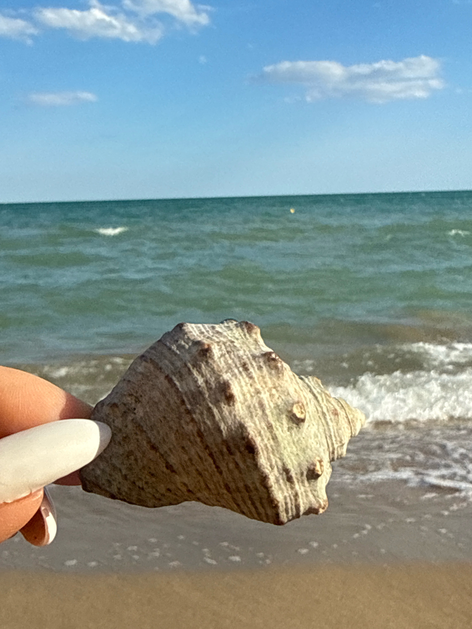 An extreme close-up, eye-level, medium shot captures a hand holding a tan and white spiral seashell against a blurred background of the ocean. The shell, textured and bumpy, is positioned in the foreground, to the right of the frame. A human finger, with a white fingernail, is visible at the lower left, gently holding the shell. The background shows the turquoise ocean with gentle waves and a sandy beach. The sky above is a clear blue with scattered white clouds.