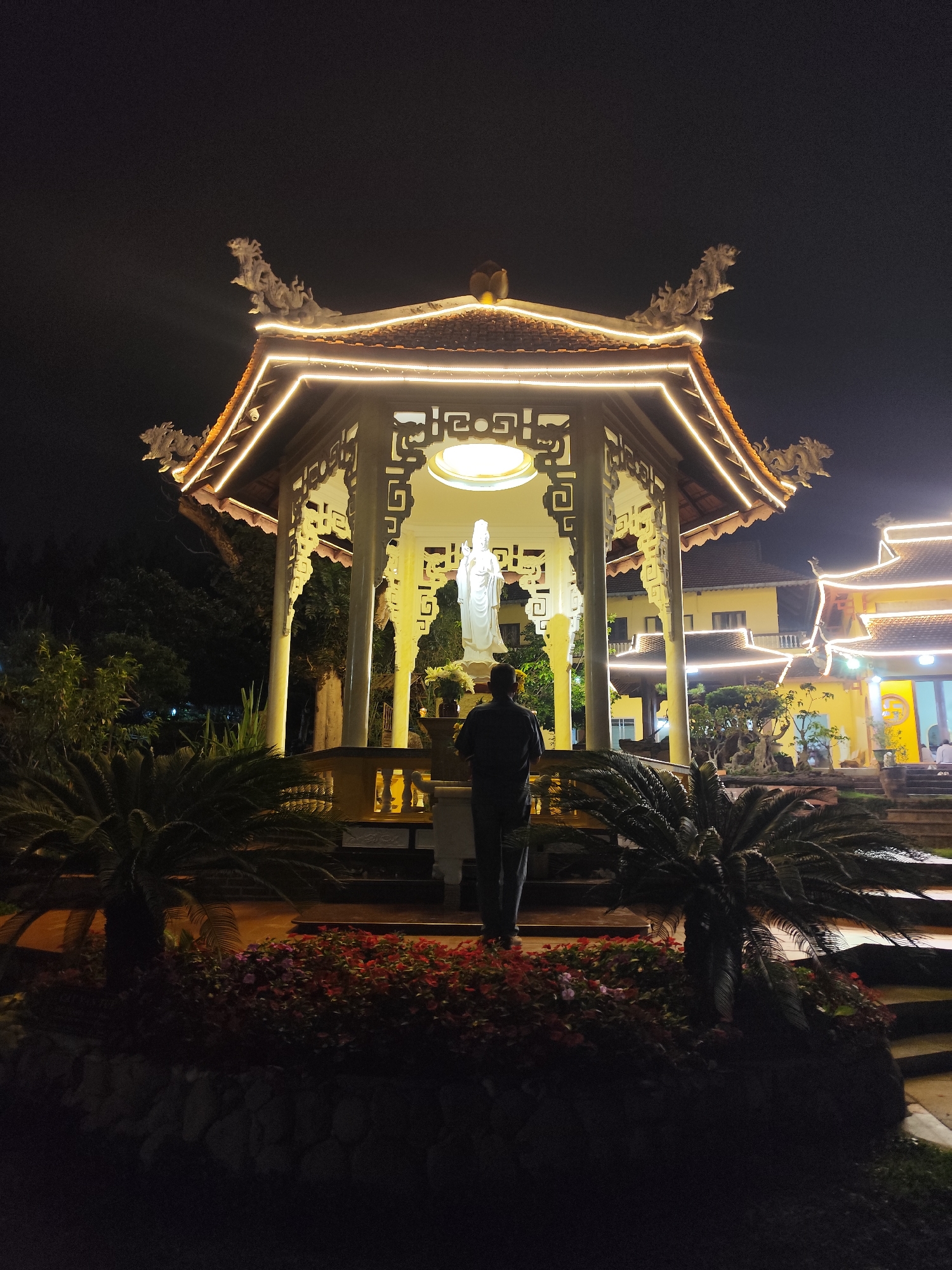 The image presents a tranquil night scene at a temple in Da Lat, Vietnam. A lone person, seen from behind, stands reverently facing a prominent white statue, likely Guanyin, positioned within an ornate, open-sided gazebo. The statue itself is brightly illuminated from above, casting a soft glow.
The gazebo is a central feature, showcasing traditional Vietnamese architecture with its multi-tiered roof and intricate decorative elements. Its structure, including the roof edges and internal framework, is adorned with warm, festive string lights, creating a luminous outline against the dark night sky. Decorative dragon-like sculptures are visible on the corners of the gazebo's roof, adding to its cultural significance.
In the immediate foreground, vibrant plant beds filled with red and pink flowering bushes, alongside lush palm-like cycad plants, frame the pathway leading up to the gazebo. Steps made of stone or concrete ascend to the platform where the statue stands. Beyond the gazebo, in the background, additional temple buildings with distinct yellow facades are visible, also outlined with decorative lights, suggesting a larger, illuminated complex. Bonsai trees are neatly arranged in the middle ground, adding to the cultivated landscape.
The person's posture suggests a moment of contemplation, prayer, or deep respect in this spiritual setting. The time of day is clearly night, with a dark, clear sky. The artificial lighting plays a crucial role in highlighting the architectural details and creating a peaceful, almost magical atmosphere. No discernible text is visible in the image.
