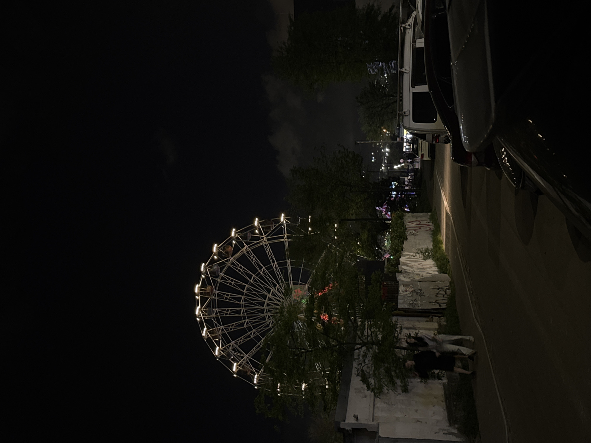 The image depicts a night scene in Temnolesskaya, Russia. A lit Ferris wheel is prominently featured in the left side of the frame, partially obscured by trees. A street runs along the right side of the image, with a parked vehicle partially visible on the far right. Two individuals are standing or walking along the side of the road near a low wall covered in graffiti. Streetlights and distant buildings are visible in the background. The sky is dark, with some cloud cover.
