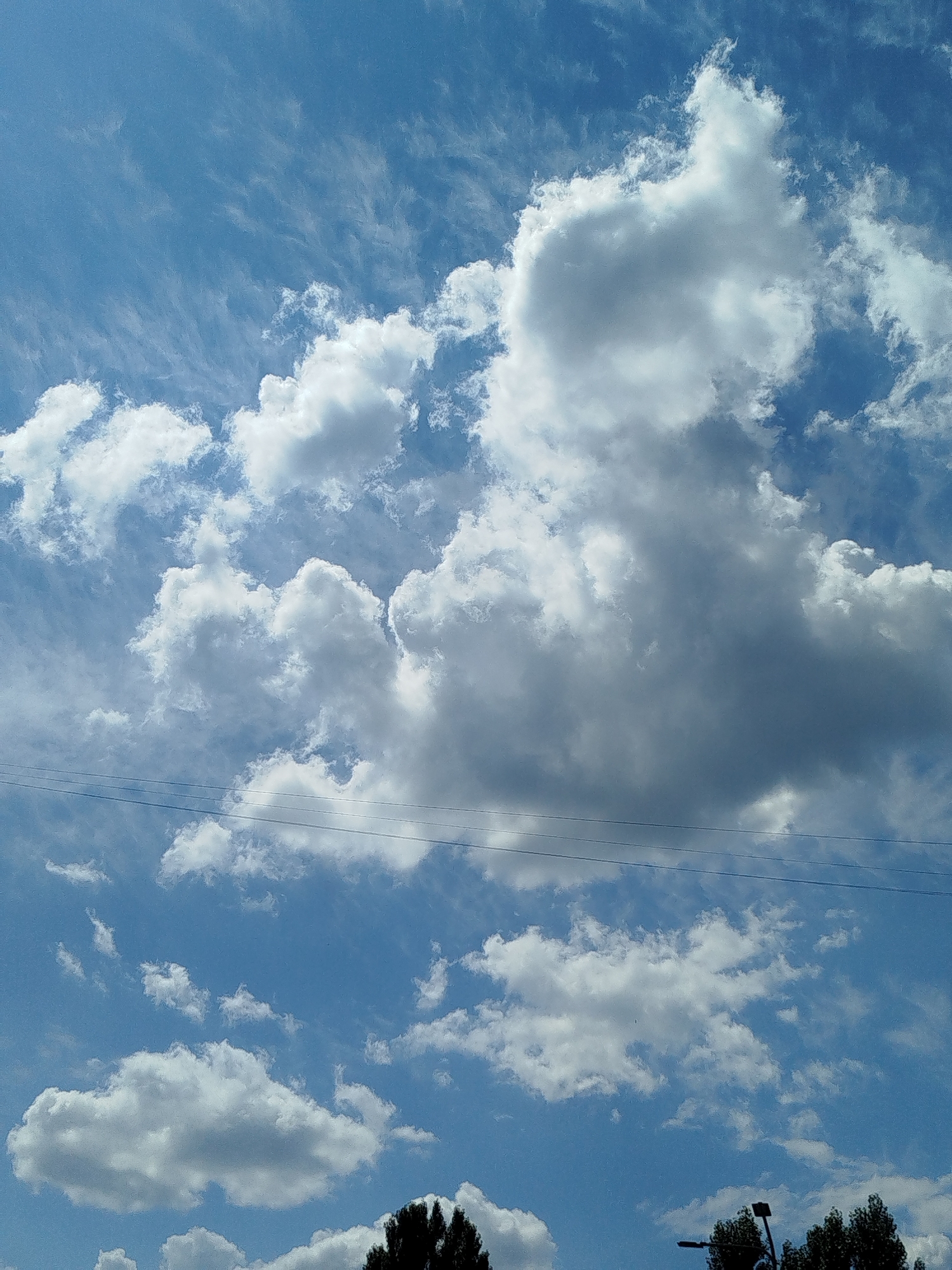 The image captures a clear blue sky filled with various types of clouds, ranging from wispy cirrus formations at the top to larger, puffy cumulus clouds lower down. Three parallel power lines stretch horizontally across the middle section of the frame. The bottom edge of the image shows the tops of dark green trees, and a street light is visible to the right of the trees. The scene appears to be an outdoor view from ground level, looking upwards. The provided location is Kremenchuk, Ukraine.