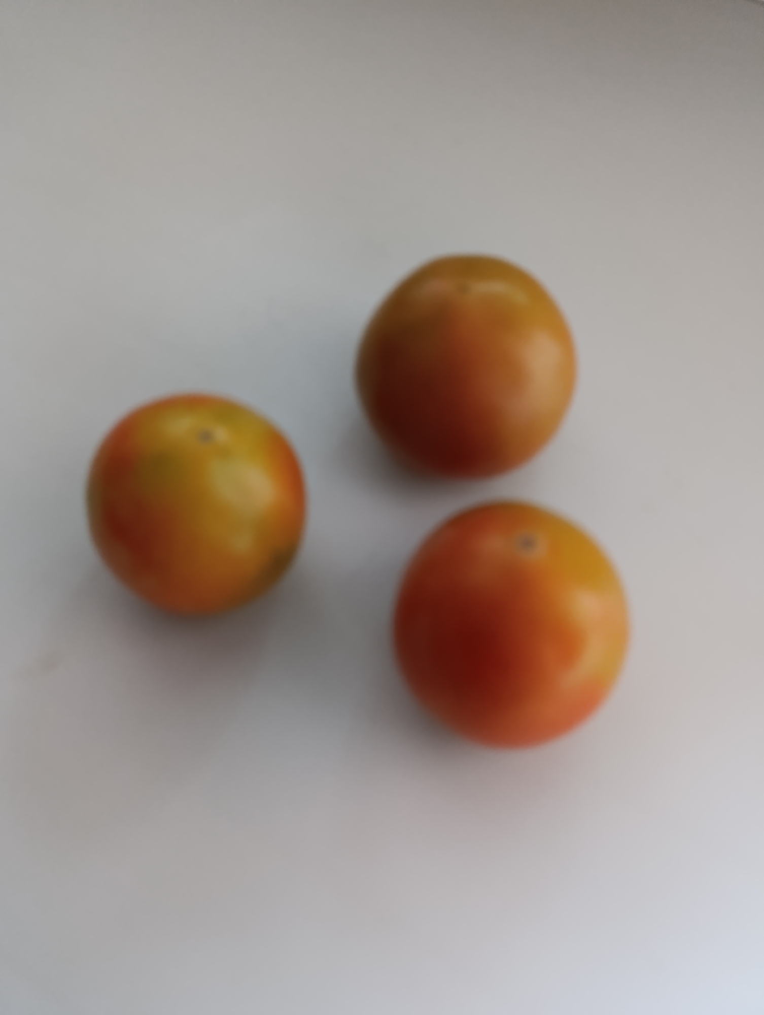 Three small, blurry tomatoes are arranged on a white surface. One tomato is in the lower right, another is in the upper right, and the third is in the lower left. The tomatoes are orange and red in color with some green undertones. The background is a plain white surface. There is no indication of the location in the city of Stowbtsy, Belarus.
