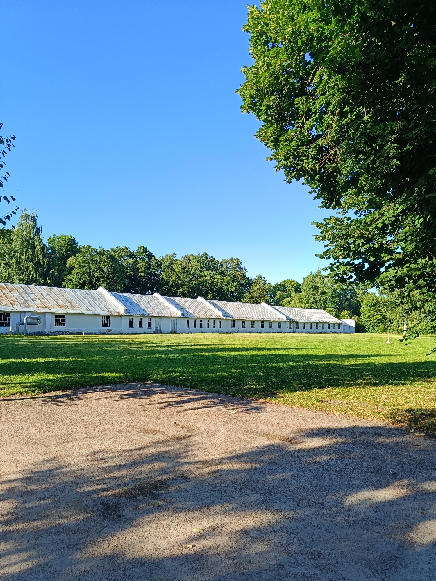 The image captures a long, white, single-story building with a corrugated metal roof, situated in a park-like setting. The building appears to be composed of multiple connected sections, each with a peaked roof. Numerous windows are visible along the facade. In front of the building, a well-maintained green lawn stretches out. To the right of the building, a tall, thin white pole stands on the grass. The foreground shows a concrete or asphalt path with dappled sunlight and tree shadows. Behind the building, a dense line of lush green trees forms a natural backdrop against a clear blue sky. The overall impression is one of a rural or suburban environment on a bright, sunny day. The architecture of the building suggests it might be an older structure, possibly a former barracks, agricultural building, or industrial facility, repurposed for a park or recreational area. There are no people or animals visible in the scene. The location is described as being in the city of Saint Petersburg, Russia.