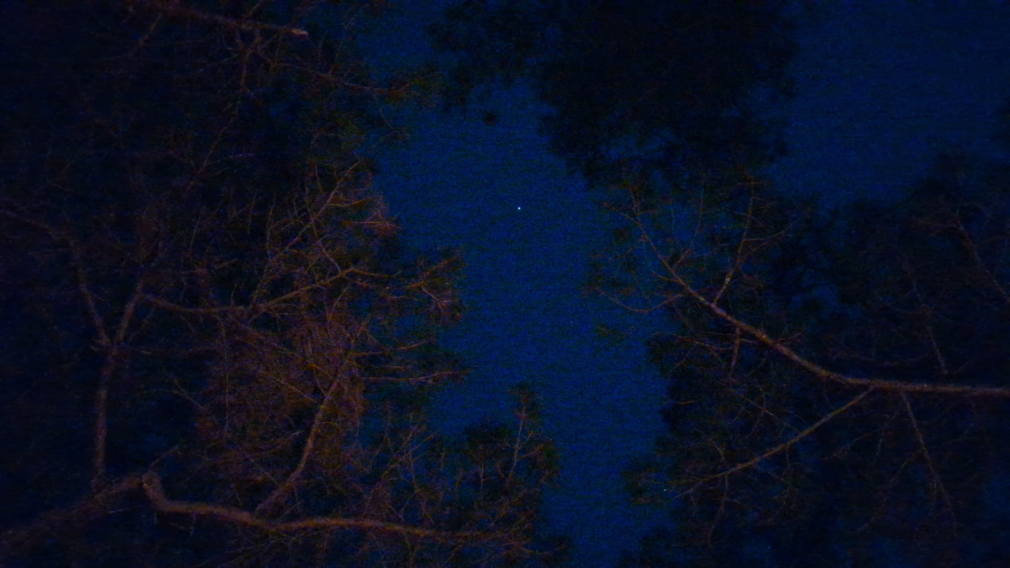 The image shows a view of the night sky framed by silhouetted tree branches. The sky is a deep blue with what appears to be a single bright star or planet visible in the center. Several other faint stars may be visible as well. The tree branches are dark and spindly, creating a stark contrast against the sky. The scene is dimly lit, suggesting a rural or sparsely populated area, or potentially a park or wooded area. There are no discernible people or man-made objects other than the potential for some of the trees to be planted. Given the location of Lạc Dương, Vietnam, the trees could be indigenous to the area.