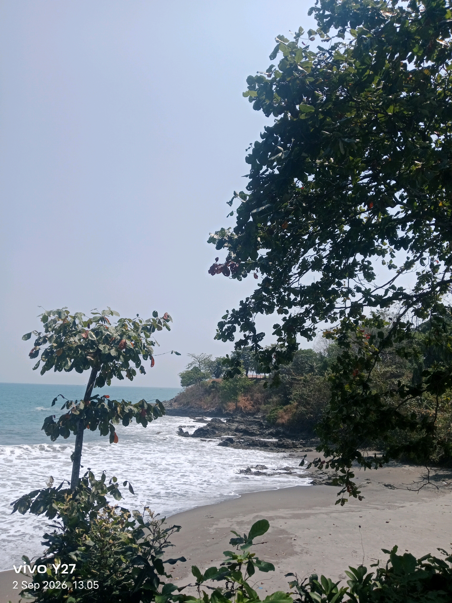 The image depicts a scenic view of a beach in Palabuhanratu, Indonesia, on September 2, 2026, at 13:05. In the foreground, lush green foliage and a young tree with broad leaves frame the scene. The tree's branches are laden with leaves, some showing hints of red.
Beyond the vegetation, a sandy beach stretches towards the ocean. The sea is a calm turquoise, with gentle waves lapping the shore and creating white foam. Rocky outcrops are visible along the coastline, adding texture to the landscape. The background reveals a verdant hillside covered in trees and shrubs, suggesting a tropical environment. The sky is clear and a pale blue, indicating a bright and sunny day. The timestamp "vivo Y27 2 Sep 2026, 13.05" is visible in the lower left corner of the image. There are no people visible in the scene.