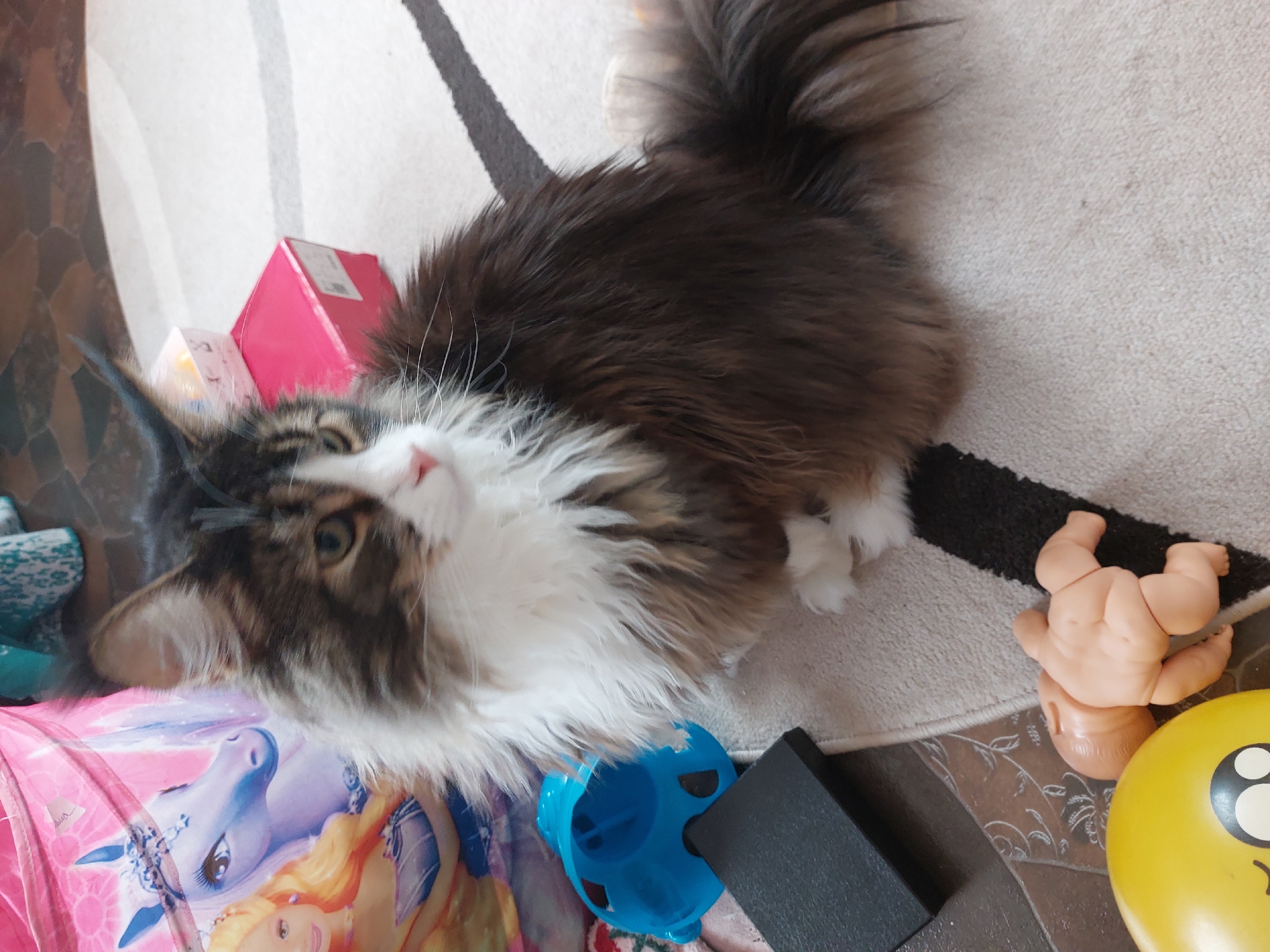 A long-haired brown and white cat with green eyes is lying on a light-colored carpet. Next to the cat are various toys: a blue ball, a pink bag with a cartoon unicorn, a pink box, a plastic doll, and a yellow smiley-face balloon. The image was taken from an elevated position, looking down at the cat and the surrounding objects. The carpet has a dark gray pattern. The location is Большой Букор, Russia.