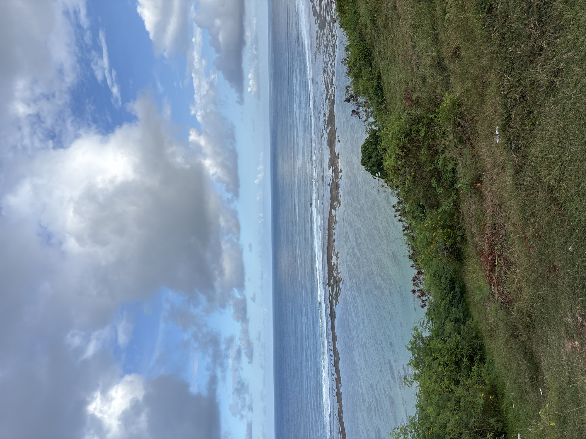 The image shows a coastal scene in Kuta Selatan, Indonesia. The sky is partially cloudy with patches of blue. A body of water, likely the Indian Ocean, stretches across the middle ground, with a shoreline marked by gentle waves. The foreground features a grassy cliff edge with scattered vegetation, including shrubs and trees. The composition suggests a viewpoint from an elevated position on the coastline.