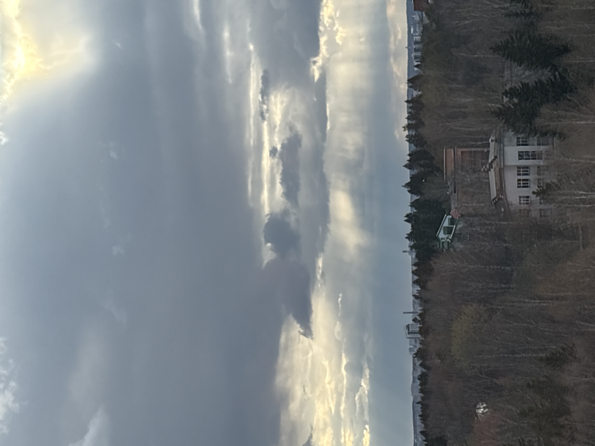This landscape photograph, taken from an elevated vantage point in Izhevsk, Russia, presents a sweeping view over a forest and a distant city under a dynamic sky. The upper portion of the frame is dominated by a cloud-filled sky, featuring striking contrasts of bright, sunlit patches and darker, heavy clouds, suggesting either early morning, late afternoon, or a day with variable weather. The golden light breaking through the clouds adds a dramatic quality.
The midground is filled by a dense forest, predominantly composed of bare trees, characteristic of late autumn, winter, or early spring, interspersed with some evergreens. Within or at the edge of this woodland, several buildings are visible, including a prominent multi-story white structure with numerous windows, and a smaller building with a green roof. Further along the horizon, a faint cityscape indicates the presence of urban development. No individuals or specific activities are depicted, nor is there any visible text. The image captures a blend of natural environment and distant human habitation.