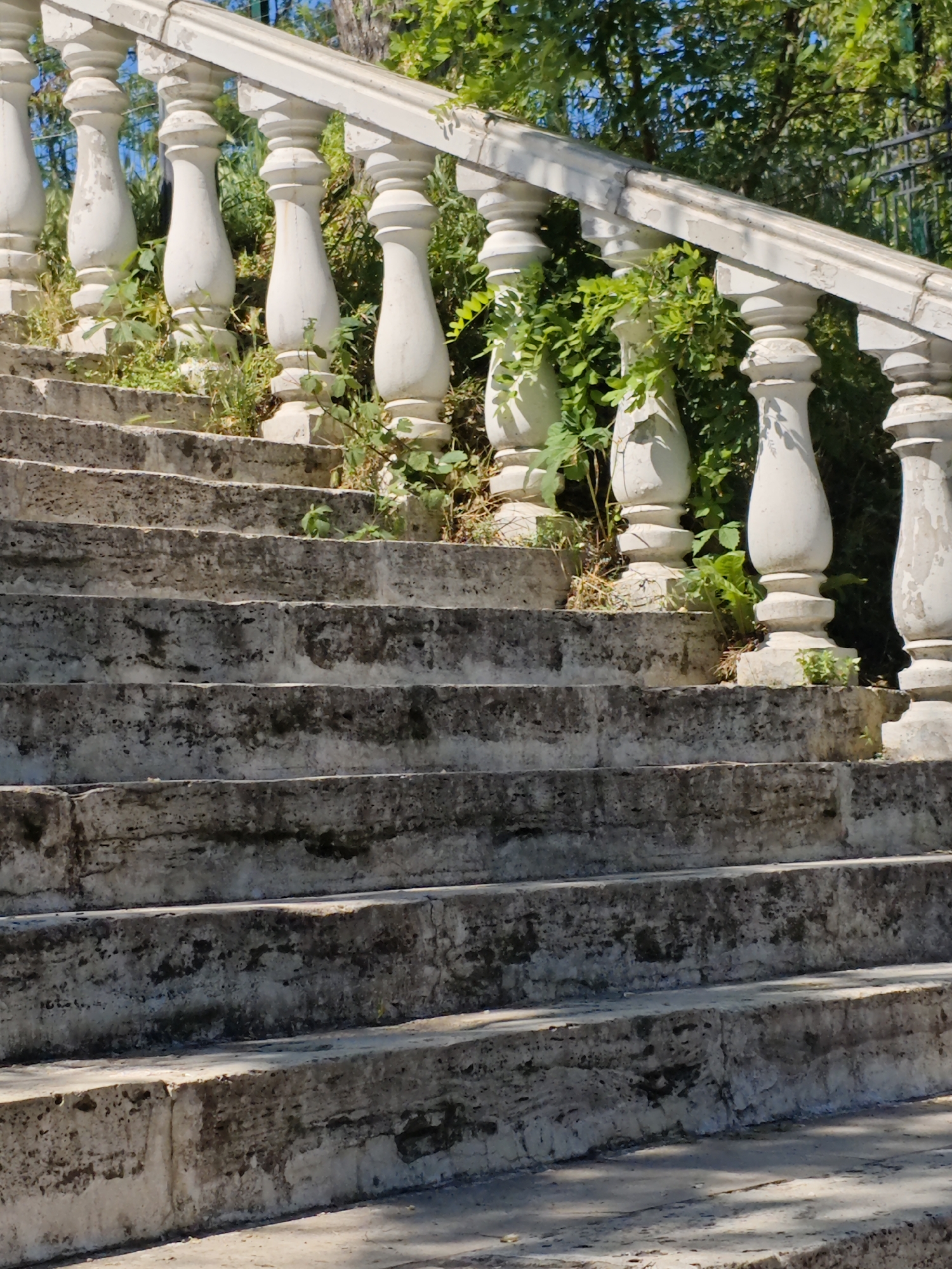 A stone staircase with a white balustrade ascends a slope, overgrown with greenery. The stone steps are worn and textured, with patches of moss and dirt. The balustrade, composed of carved balusters and a railing, shows signs of age with chipped paint. Lush vegetation, including vines and leafy plants, grows around the base of the balusters and on the edges of the steps. In the background, trees with dappled sunlight filtering through their leaves and a dark metal fence are visible, suggesting an outdoor setting. This scene is located at the "Proval" (or "Prychall") cave complex in Pyatigorsk, Russia, specifically on the walkway leading up to the cave entrance. There are no people or animals present in the image.