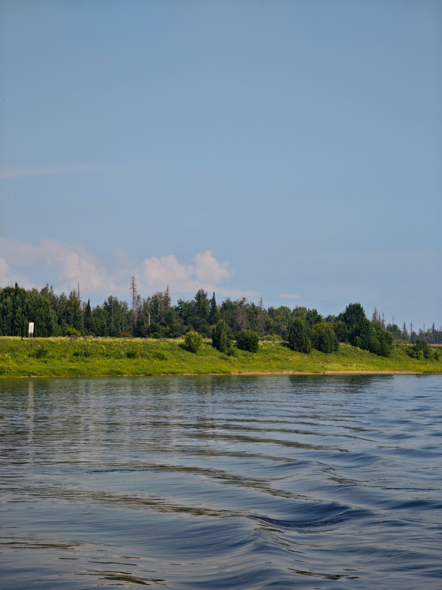 The image depicts a wide river with gentle waves in the foreground. The riverbank on the opposite side is lined with a lush green grassy slope covered in yellow wildflowers. Beyond the grassy slope, a dense forest of various green trees stretches across the horizon, with some taller, bare trees interspersed. The sky is a clear blue with a few scattered white clouds. A white rectangular sign is visible on the left side of the riverbank, partially obscured by trees. The scene appears to be a natural landscape during daylight, likely in the city of Novonazimovo, Russia, given the context. There are no people or animals visible in the image, and no discernable actions or interactions are taking place.