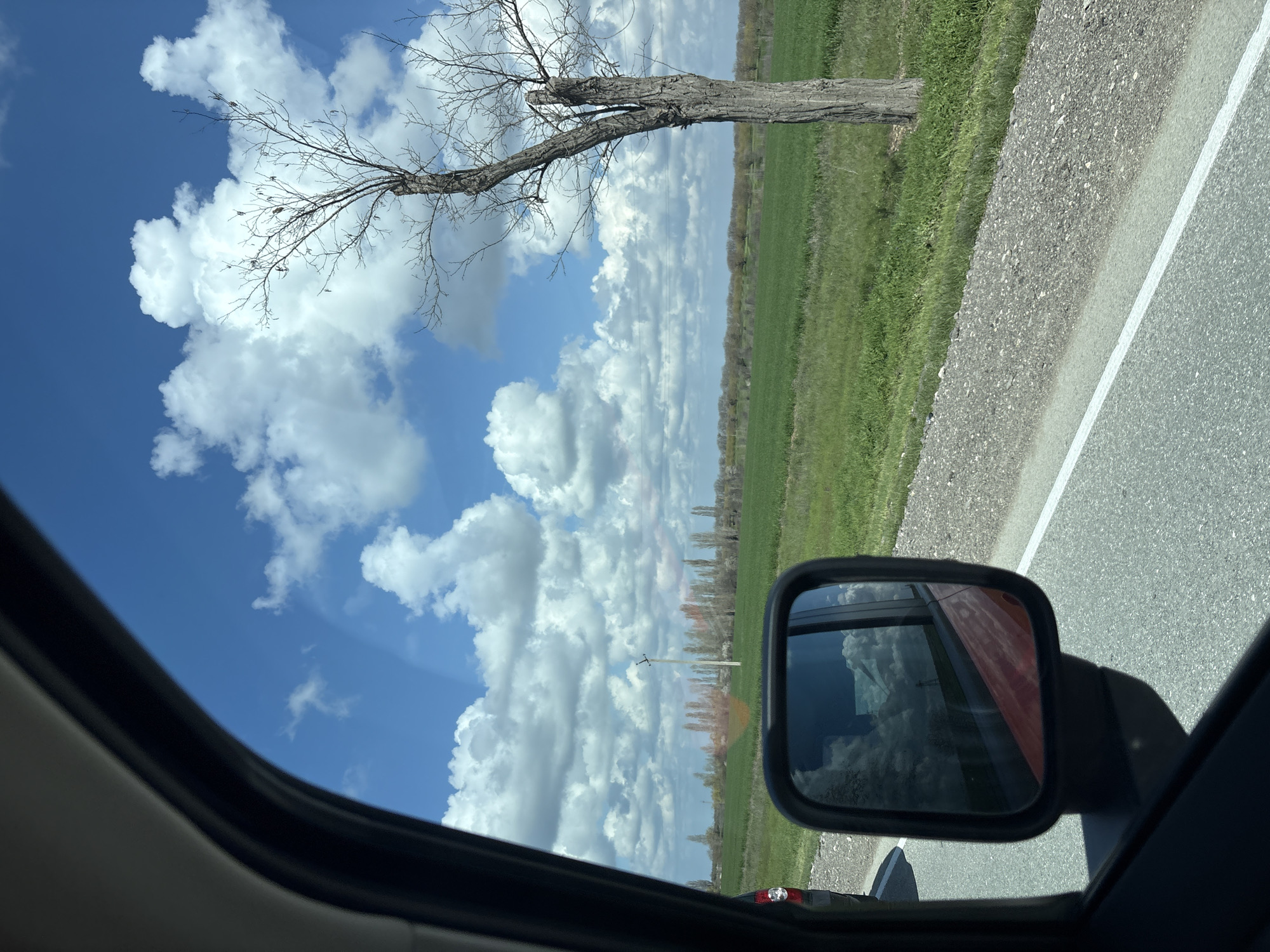 The image depicts a view from inside a vehicle moving along a road. Outside the car window, there is a field with green vegetation, extending to a line of trees in the distance. A bare tree with leafless branches stretches into the sky, which is filled with fluffy white clouds against a blue backdrop. The road has a white line marking the edge. The side mirror of the vehicle is visible, reflecting a portion of the red car itself and the sky. The scene appears to be in a rural area, potentially near Пожарское сельское поселение, Ukraine, given the agricultural landscape and the type of vegetation. There is no evidence of people or immediate actions in the frame, except the movement implied by the road and car.