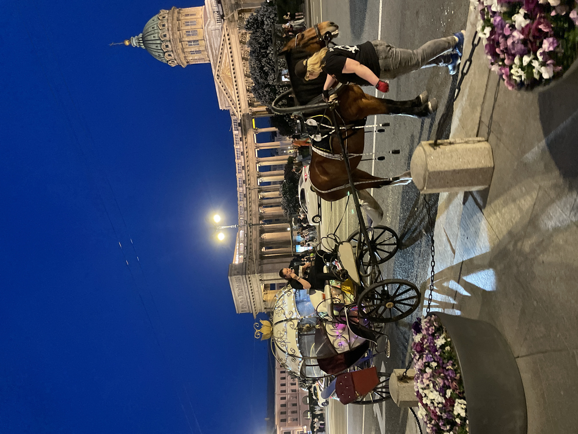 An evening scene in Saint Petersburg, Russia, features the illuminated Kazan Cathedral in the background, showcasing its dome and colonnade. A brown horse stands on an asphalt street, harnessed to an ornate, white and gold, Cinderella-style carriage with internal colorful lights and spoked wheels. A person with dark hair sits inside the carriage, focusing on an object held in their hands. Another individual, wearing a black cap, black t-shirt with a white design, grey pants, and a red glove on their left hand, stands beside the horse, appearing to adjust its harness. Streetlights are active, casting light and prominent shadows on the ground. In the immediate foreground and lower right, grey planters filled with mixed purple, white, and red flowers are visible, along with concrete bollards connected by chains. Multiple pedestrians and several vehicles are present in the mid-ground and background. The sky is a deep, clear blue, indicative of twilight or early night.