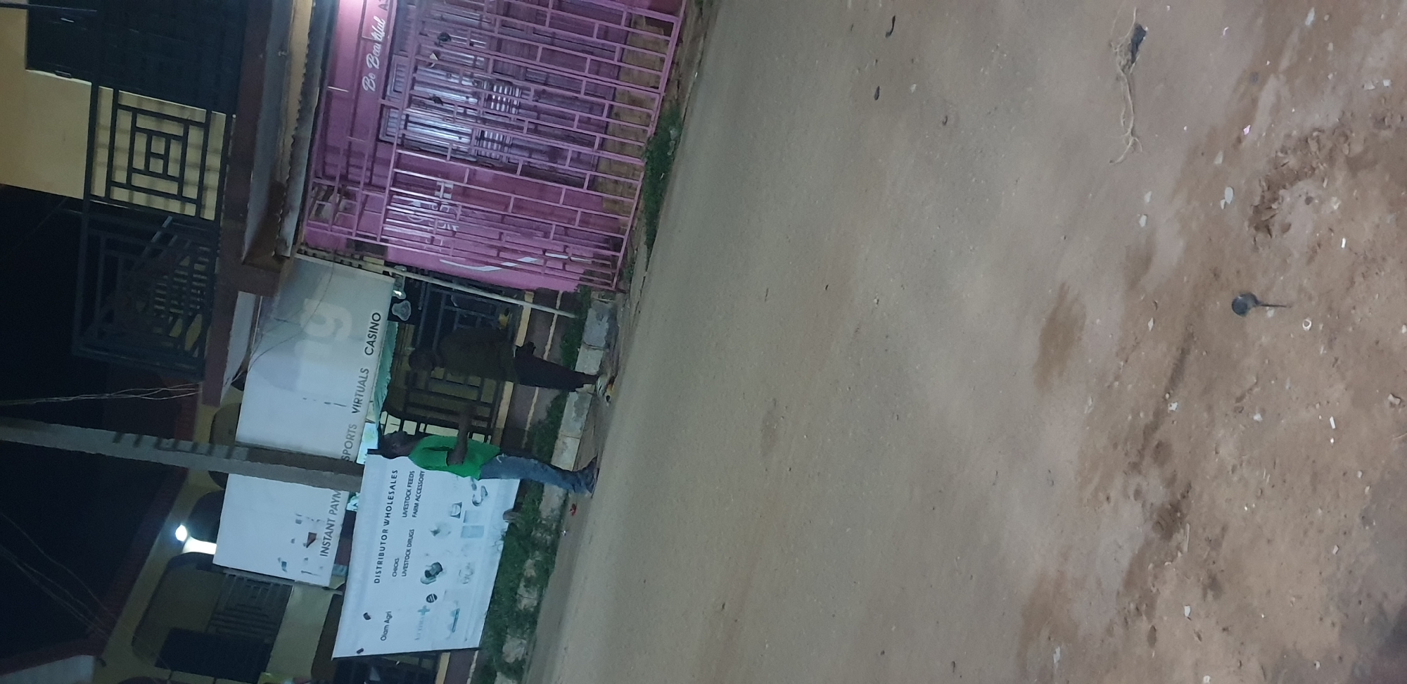 The image depicts an outdoor street scene in Narayi, Nigeria, at night or dusk, characterized by artificial lighting.
In the background, two multi-story buildings are visible. The building on the left features a light-colored (tan/yellow) upper floor with dark metal balcony railings. The building on the right has a pink ground floor facade, heavily secured by pink metal security bars/grilles over the windows and entrance. Above this pink section, a sign reads "Be Beautiful." The upper floor of this building displays a dark geometric patterned railing.
A large white banner, suspended across the mid-ground in front of one of the buildings, advertises "Olam Agri DISTRIBUTOR WHOLESALES" for "CHICKS, LIVESTOCK DRUGS, LIVESTOCK FEEDS, FARM ACCESSORY." To the right of this banner, a separate, partially obscured white sign behind a dark pole displays "INSTANT PAYM," "SPORTS VIRTUALS CASINO," with the full word "Betting" partially visible, indicating a betting establishment.
Two adult males are standing on the unpaved shoulder or a dirt patch adjacent to the road surface in the mid-ground. The male on the left wears a green short-sleeved shirt and blue jeans, standing with his left leg straight and right leg slightly bent. The male on the right wears dark clothing (dark shirt/jacket and trousers) and is positioned facing away from the viewer, appearing to be observing something on the ground or interacting with an unseen object.
The foreground and mid-ground consist of a light brown, unpaved, or dirt-covered road surface with scattered small debris, including white fragments and darker organic matter. A small, dark, slender object resembling a piece of trash or metal lies on the ground in the lower right foreground. A low concrete curb or raised strip of ground with some sparse green vegetation separates the road from the building facades.