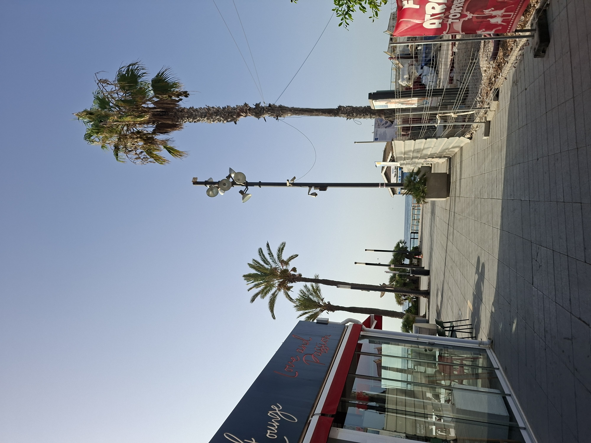 The image depicts a waterfront promenade in Torrevieja, Spain. The foreground is a paved walkway with square tiles. To the left is a building with large glass windows and a sign that reads "Lounge Love and Passion". Red awnings are visible above the windows. Palm trees are scattered along the promenade. A tall lamppost with multiple lights and two security cameras stands in the middle ground. Beyond the lamppost, there is a construction site enclosed by a metal fence. A red banner with text and images of horses is attached to the fence. The background shows the sea under a clear blue sky. No people are visible in the image.