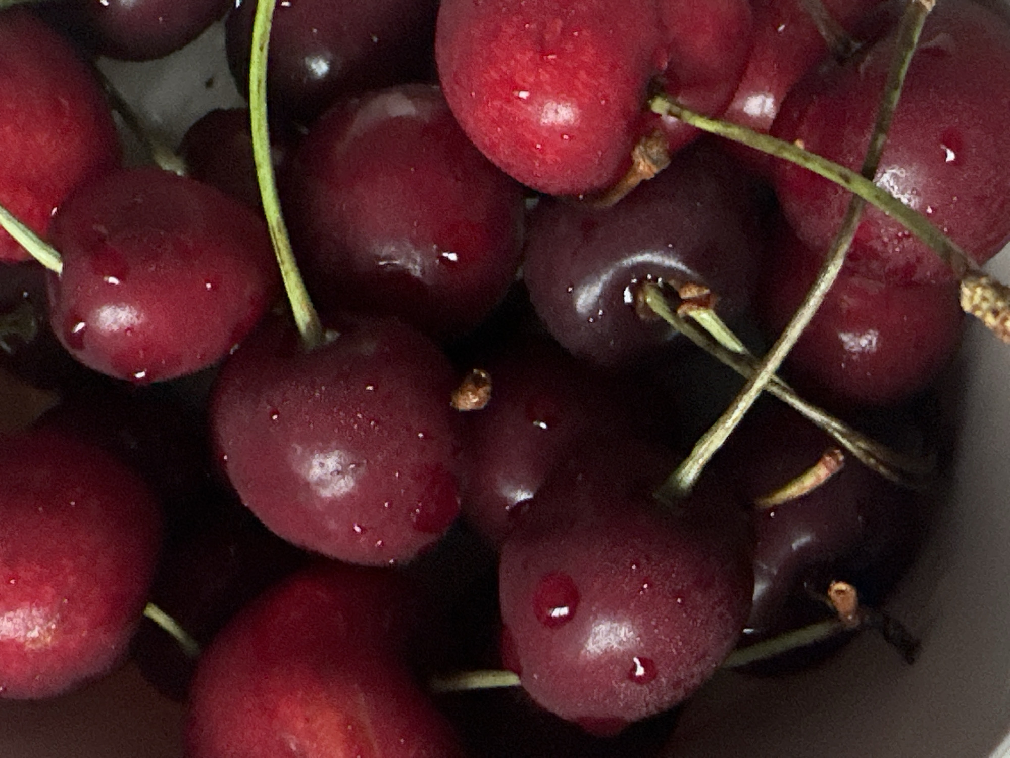 A close-up, overhead shot displays a pile of dark red cherries, some with visible stems and water droplets on their surface. The cherries fill the frame, with a shallow depth of field. The background is dark and out of focus, suggesting a simple container or surface. No people or specific locations are identifiable.