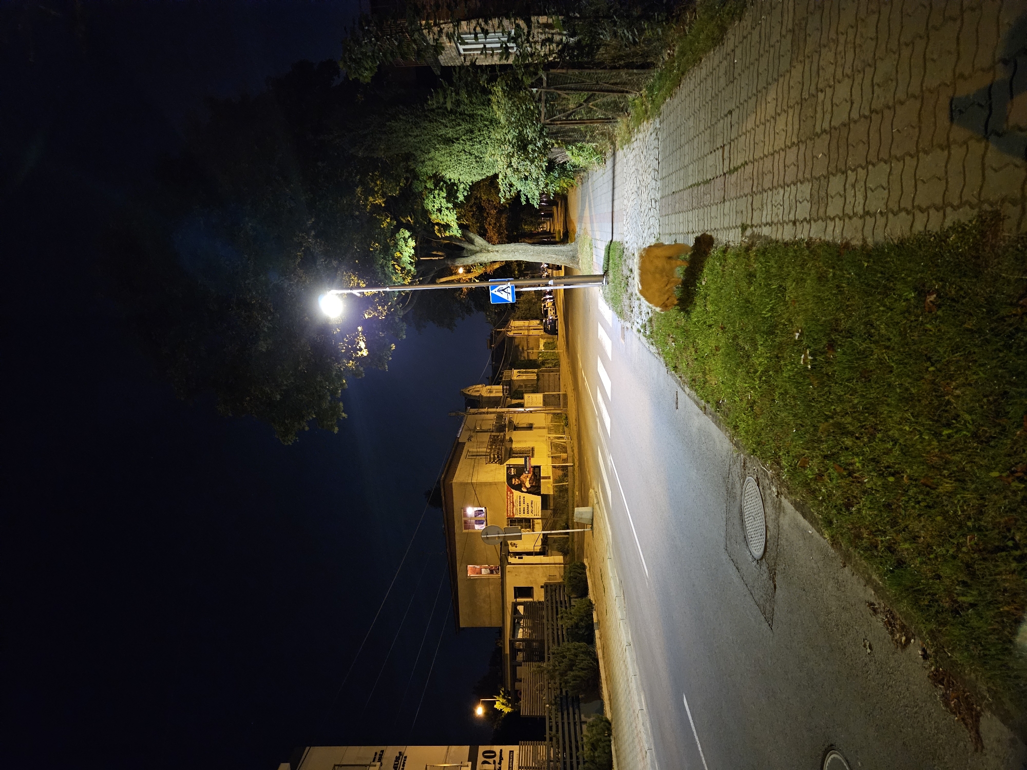 The image depicts a street scene at night in Rzeszów, Poland, specifically on Aleja Józefa Piłsudskiego. The perspective is from the sidewalk, looking down the street. A yellow street lamp illuminates the right side of the image, casting long shadows from trees onto the brick-patterned sidewalk. A large, shaggy, light-colored dog is visible on the grassy verge between the sidewalk and the road, facing away from the camera and appearing to be sniffing the ground.
Across the street, there is a two-story yellow building with several windows, some illuminated from within. A large advertisement poster is affixed to the side of this building, featuring a fighter. Adjacent to this building is a smaller, darker structure. The road itself is paved and appears wet, reflecting the streetlights. A pedestrian crossing is marked with white stripes, and a blue pedestrian crossing sign is mounted on a pole near the street lamp. The night sky is dark, with a few faint lights visible. The overall atmosphere is quiet and urban, typical of a residential or commercial street after dark.