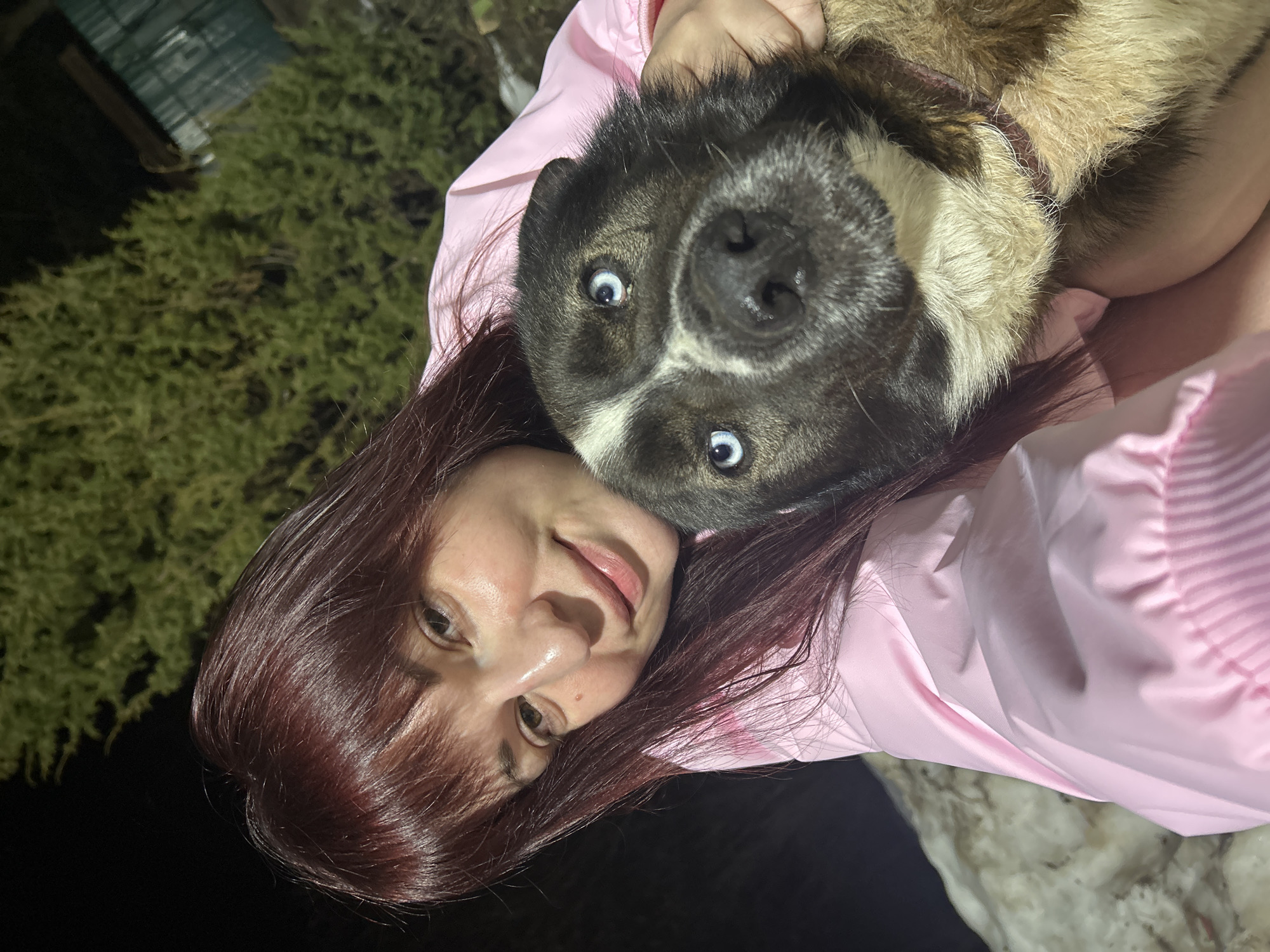 A woman with reddish-brown hair is holding a large dog with blue eyes in her arms. The dog is mostly black with white markings around its eyes and some tan fur near its neck. The woman is wearing a pink jacket. The background appears to be outdoors at night, with some green foliage visible. The location, according to the prompt, is in the city of Фоки, Russia.