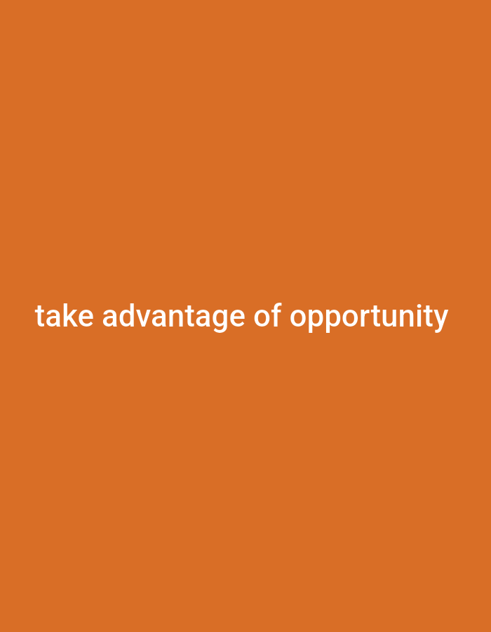 The image shows the phrase "take advantage of opportunity" in white text centered on an orange background. There are no people, animals, or specific environmental details present in the image.