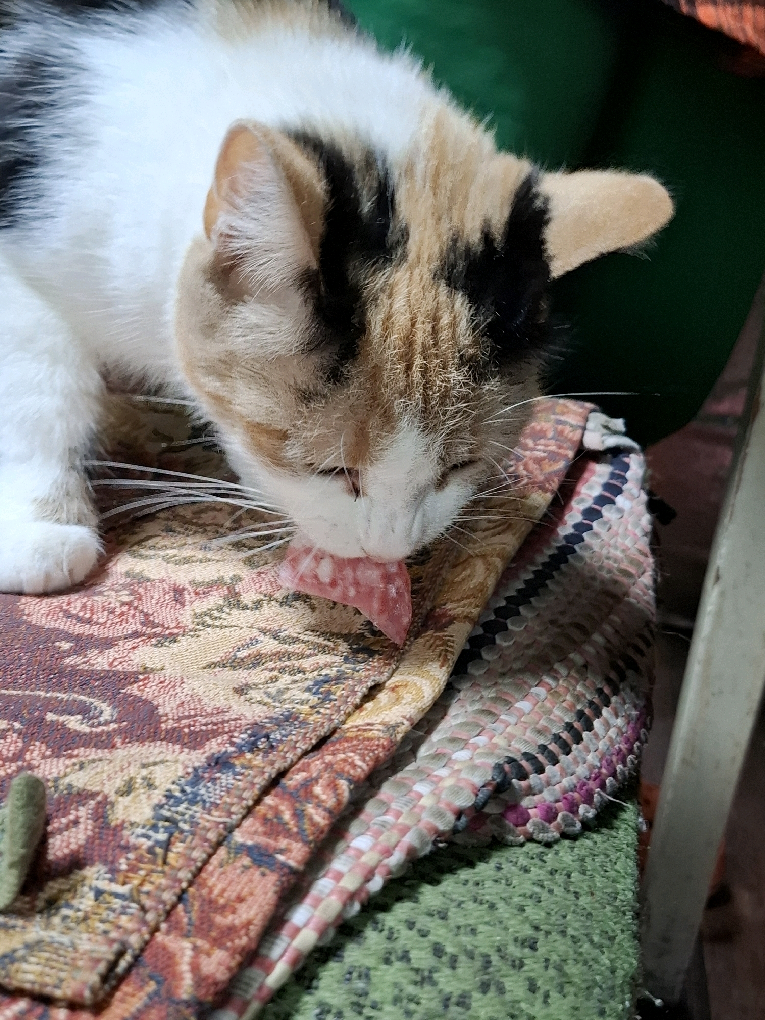A calico cat with white, black, and orange fur is seen from a close-up, head-on perspective, lying on a colorful, patterned fabric. The cat's head is lowered, and its tongue is extended, licking a piece of pink, translucent material. The cat's eyes are closed. The fabric beneath the cat has intricate patterns in shades of red, yellow, blue, and black. Another striped fabric, predominantly pink, black, and white, is visible underneath the first fabric, and a green textured surface is below that. The background is out of focus, appearing as dark green and brown hues. The image is brightly lit, and the focus is on the cat and the fabric.