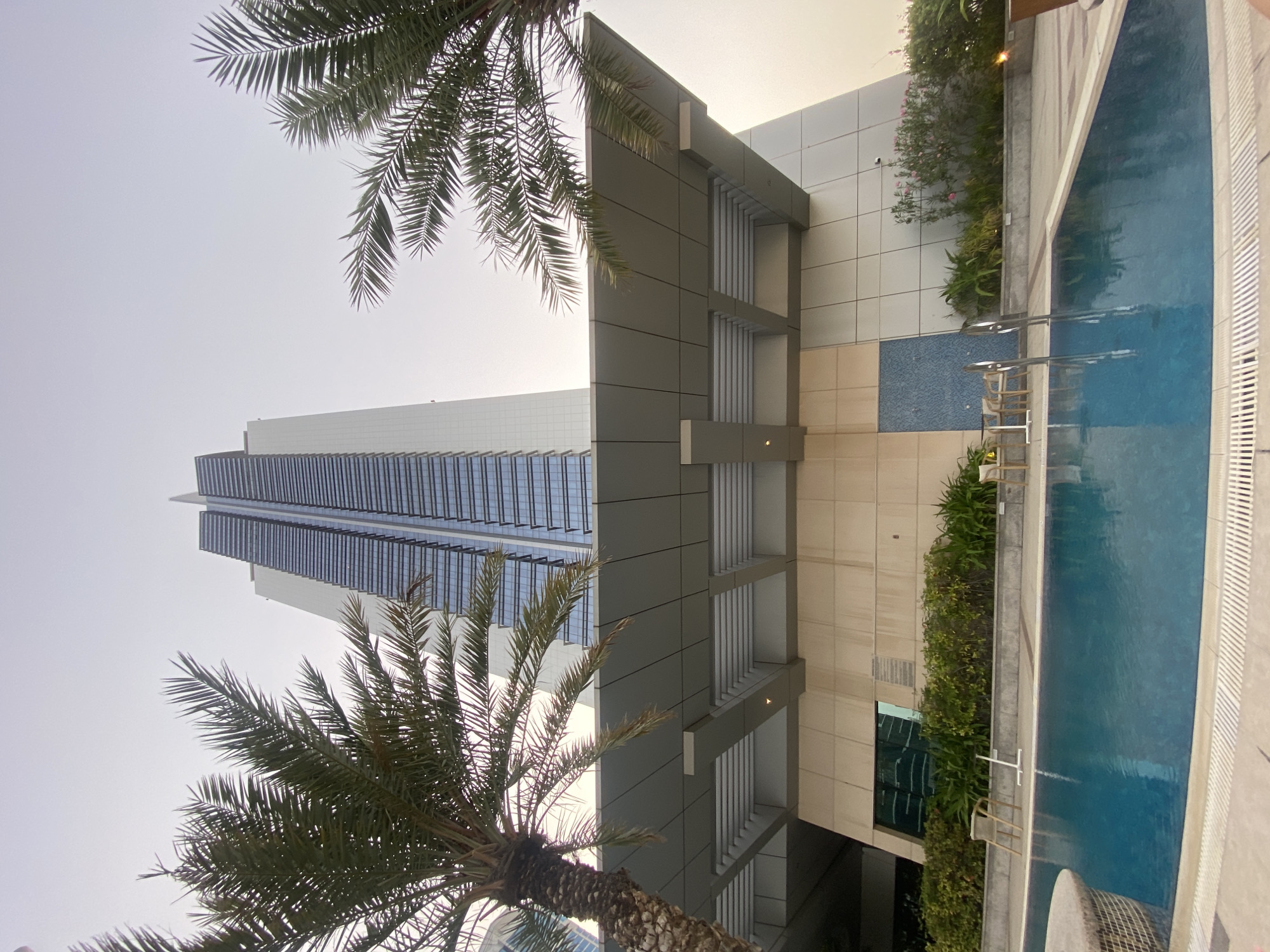 The image shows a view in Dubai, United Arab Emirates. A tall skyscraper with glass windows dominates the left side of the frame. The sky is clear. In the foreground, there are two palm trees with their leaves partially obscuring the view of the building. To the right of the skyscraper is a modern building. Adjacent to it is a swimming pool. Plants and shrubbery line the edge of the pool. The scene is captured from a low angle, looking upwards.