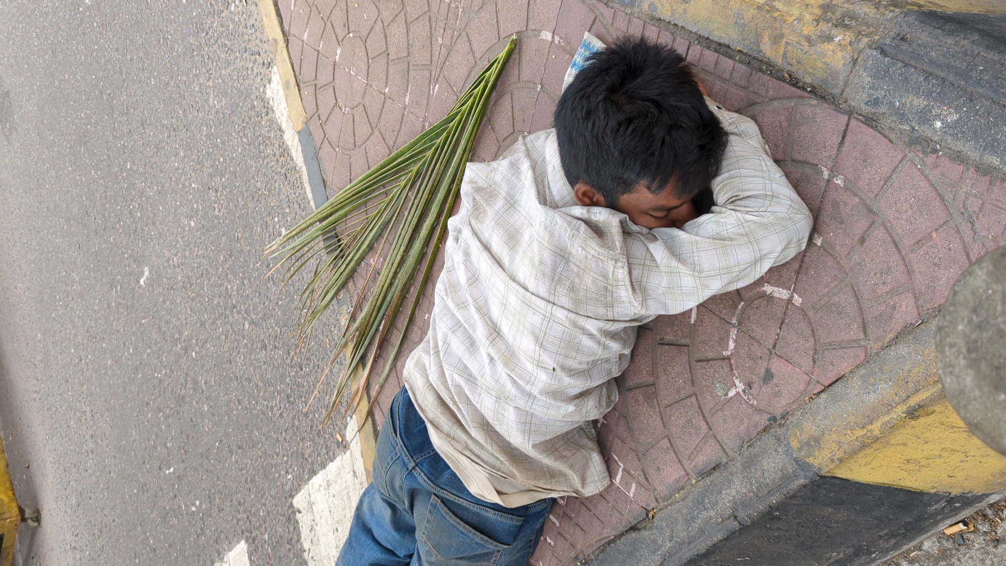 An overhead shot captures a person sleeping on a patterned red-brown brick sidewalk in an urban setting, identified as Dhaka, Bangladesh. The subject appears to be male, with dark hair, wearing a light-colored, long-sleeved plaid shirt and blue jeans. He is lying on his right side, curled up, with his face obscured by his arm, possibly resting on a small, folded white and blue patterned cloth or bag.
To the left of the person's head and upper body, a large, green palm frond is laid flat on the pavement. The sidewalk itself features a distinct circular pattern in its brickwork. A yellow and black painted concrete curb marks the edge of the sidewalk, separating it from a gray, textured asphalt road that takes up the left portion of the image.
The bright, even lighting indicates it is daytime. The scene suggests a person experiencing homelessness or extreme poverty, seeking rest in a public space. No visible text is present in the image.