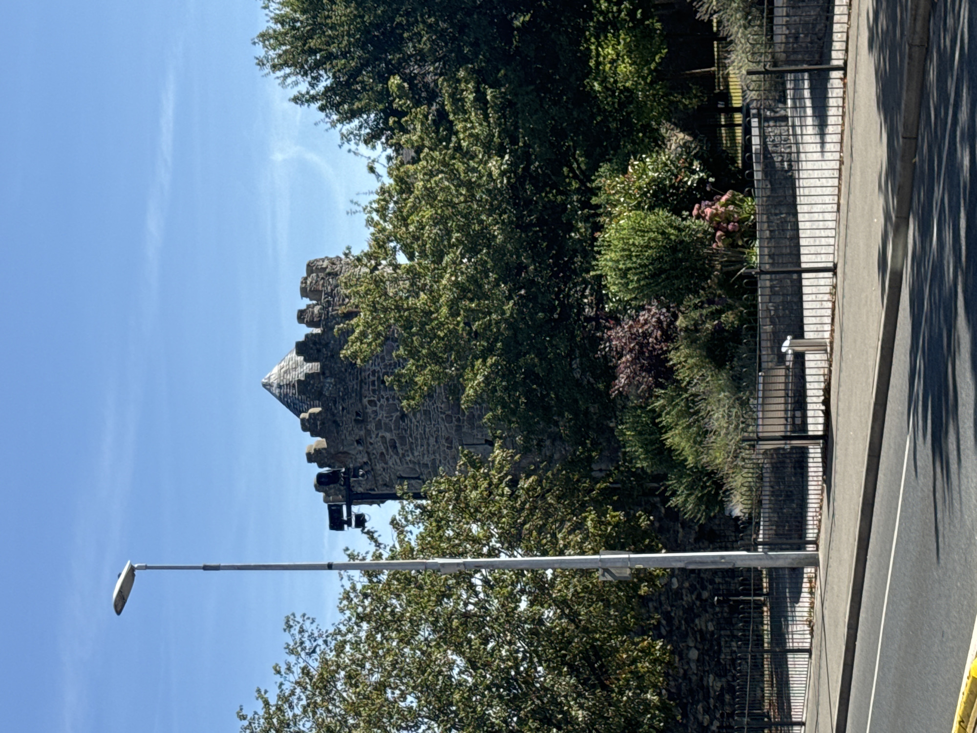 A stone tower, topped with a conical roof, rises above lush green trees under a clear blue sky in Waterford, Ireland. A tall streetlamp stands in the foreground to the left of the tower. A black metal fence encloses a park-like area with various plants and trees. A paved road with a white line runs along the bottom of the image, casting long shadows from an unseen source.