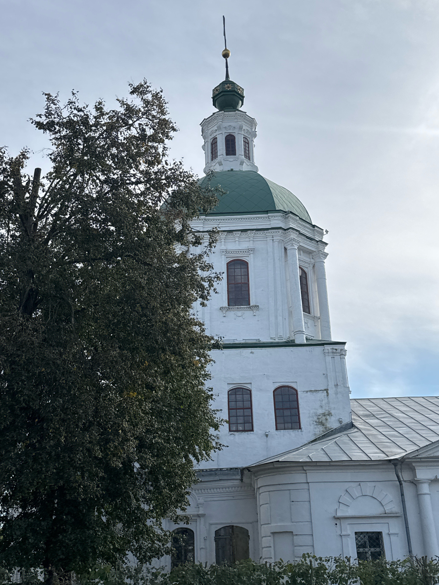 A close-up, low-angle outdoor shot captures the white tower of the John the Theologian Cathedral in Zaraysk, Russia. The tower is topped with a green dome and a golden finial. A large, dark green tree with sparse foliage occupies the left side of the frame, partially obscuring the tower. The sky above is overcast with patches of light. The building exhibits classical architectural elements, including arched windows with dark frames, columns, and ornate detailing. The foreground shows hints of greenery, likely bushes or hedges.