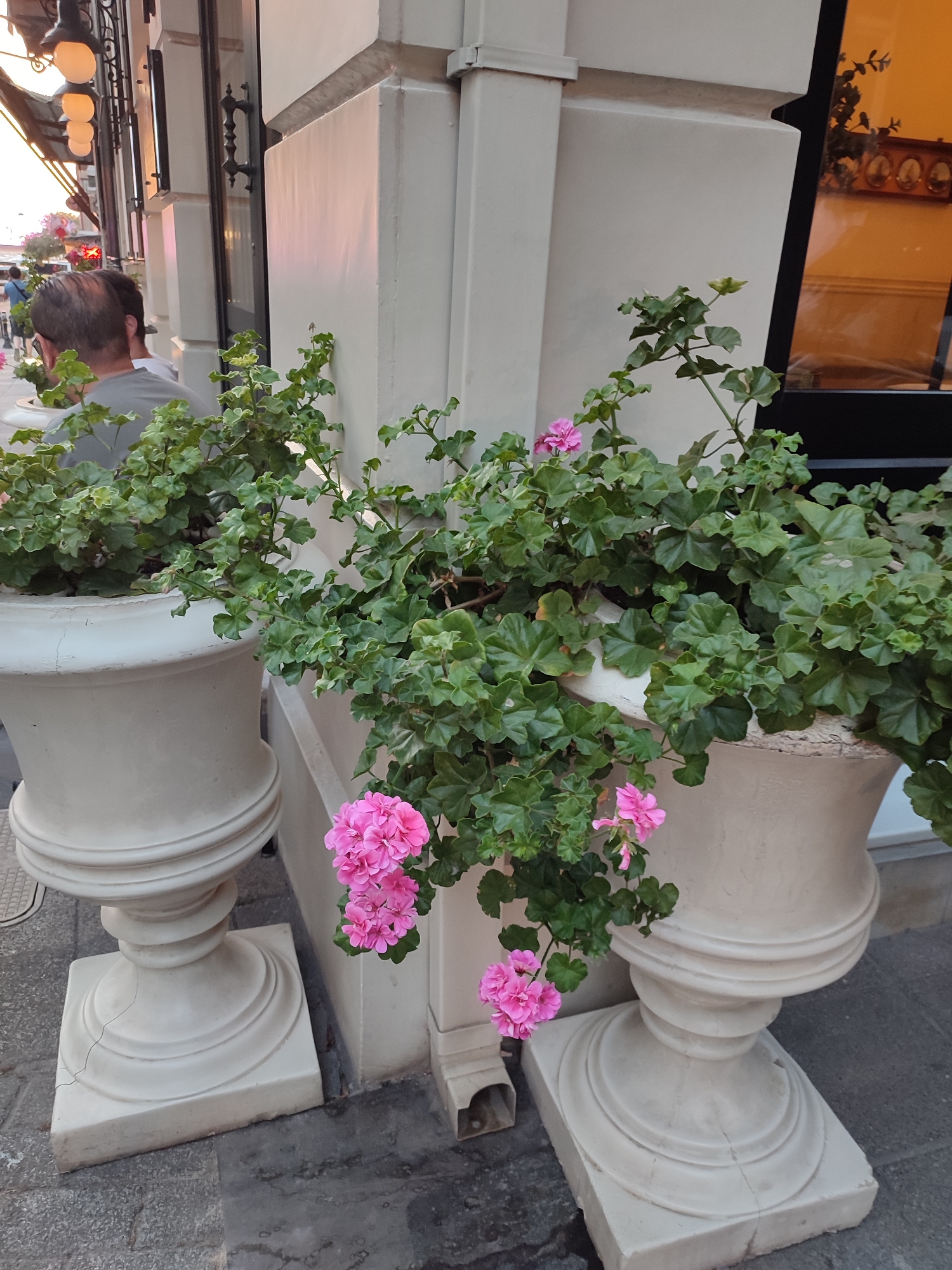 The image captures a street scene in Kadıköy, Turkey, with a focus on two large, ornate, cream-colored planters filled with lush green foliage and delicate pink flowers. The planters are positioned on a paved area in front of a building with a neutral-colored facade. In the background, part of a person is visible, suggesting a public space, possibly a café or restaurant with outdoor seating. The lighting suggests it is either early morning or late afternoon, casting soft shadows. The building's architecture is somewhat traditional, with decorative elements and large windows reflecting the warm light. The overall impression is one of urban charm and natural beauty integrated into a city setting.