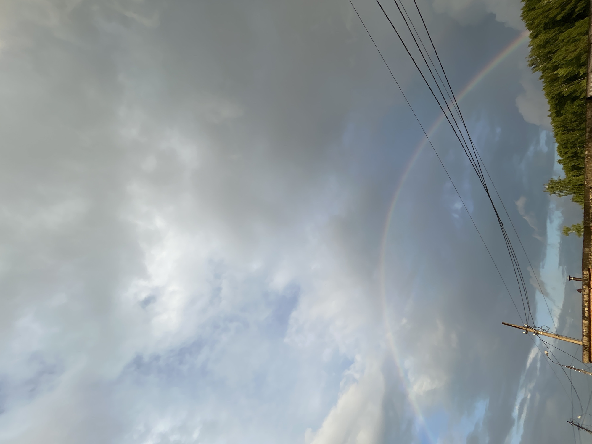 The image depicts a cloudy sky over a city landscape in Chaikovsky, Russia. A double rainbow is visible in the sky, arcing over a line of lush green trees and a low-rise building with a concrete facade. Power lines are strung across the frame, and a wooden utility pole with a streetlamp is prominently featured in the foreground. The scene appears to have been captured during or shortly after a rain shower, given the presence of the rainbow and the heavy cloud cover.