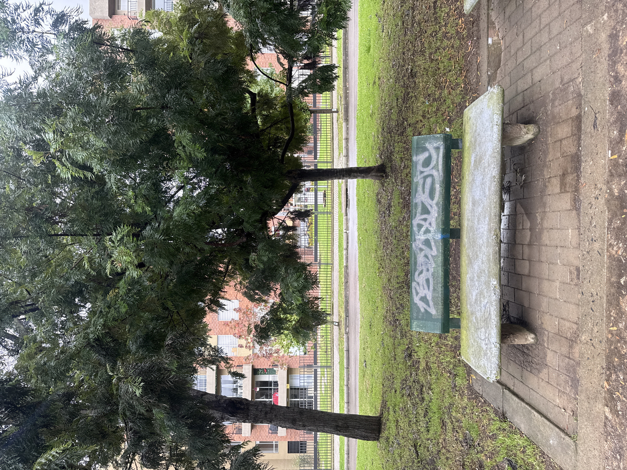 The image presents an outdoor green space situated in the city of Madrid, Colombia, under overcast lighting conditions. In the immediate foreground, a two-part bench is positioned centrally on a reddish-brown brick paver pathway, which is edged by a grey concrete curb. The bench consists of a rectangular, light grey concrete slab serving as the seat, exhibiting signs of weathering and potential moss or dirt accumulation. The backrest is constructed from green metal mesh, overlaid with white, abstract, and illegible graffiti. Surrounding the paved area is a patchy green lawn interspersed with areas of exposed dark soil and minimal scattered organic debris.
Two large trees with dense, dark green, elongated foliage dominate the upper and mid sections of the frame. Their dark brown, textured trunks are visible, with the leftmost tree trunk leaning slightly. A black metal fence, composed of vertical bars and horizontal rails, horizontally traverses the midground, demarcating the green space from a grey paved road or a wide sidewalk. This paved surface appears damp, suggesting recent precipitation.
Beyond the fence and partially obscured by the tree canopy, multi-story residential buildings are visible. These structures primarily feature brick-red facades, with some sections appearing in cream or light yellow tones. Multiple windows with white frames and balconies are present across the buildings. Some balconies are equipped with white privacy screens, a red object, and what appears to be drying textiles. A smaller tree with distinct reddish foliage is situated in front of one of the buildings. The sky is largely concealed by the tree cover but is uniformly light grey, indicative of an overcast day. No human figures or discernible activity are present within the scene.