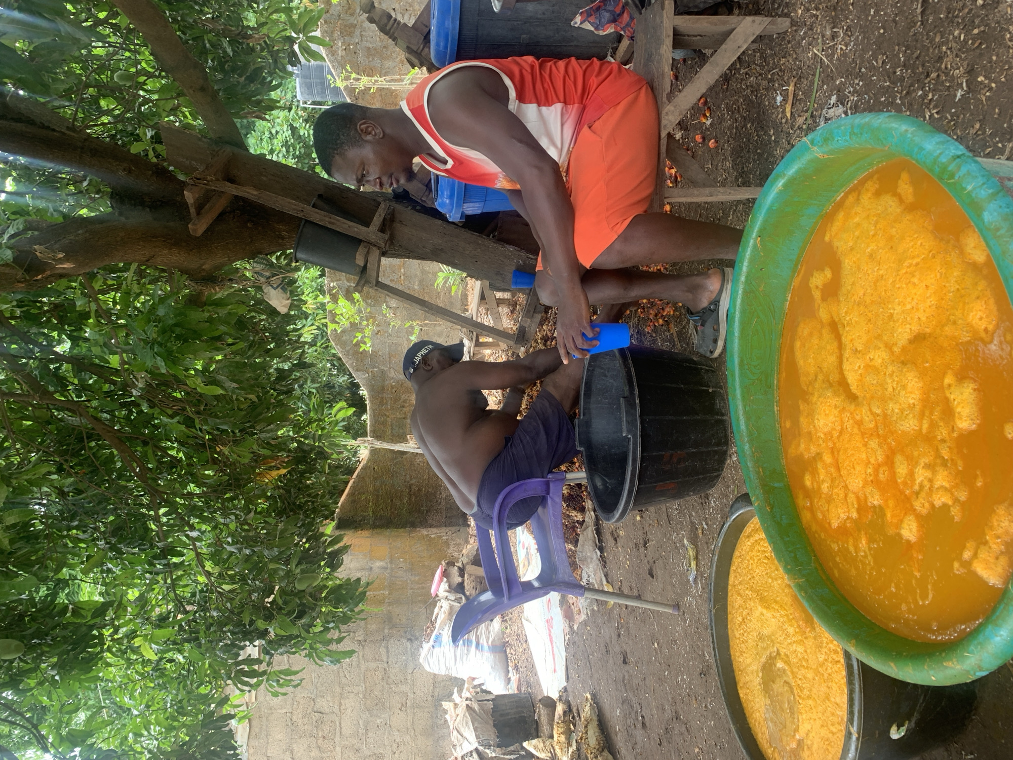 Two men are outdoors in Akwanga, Nigeria, working on processing a bright orange liquid in large basins. One man sits on a makeshift wooden bench, wearing an orange and white tank top and orange shorts, using a blue cup to transfer liquid from a blue container into a black barrel. The second man, wearing a black cap and purple shorts, sits on a purple plastic chair next to the barrel. Large green and black basins filled with the orange liquid are nearby. The setting is shaded by a tree. The ground is covered with dirt and debris. A brick wall and bags are visible in the background.
