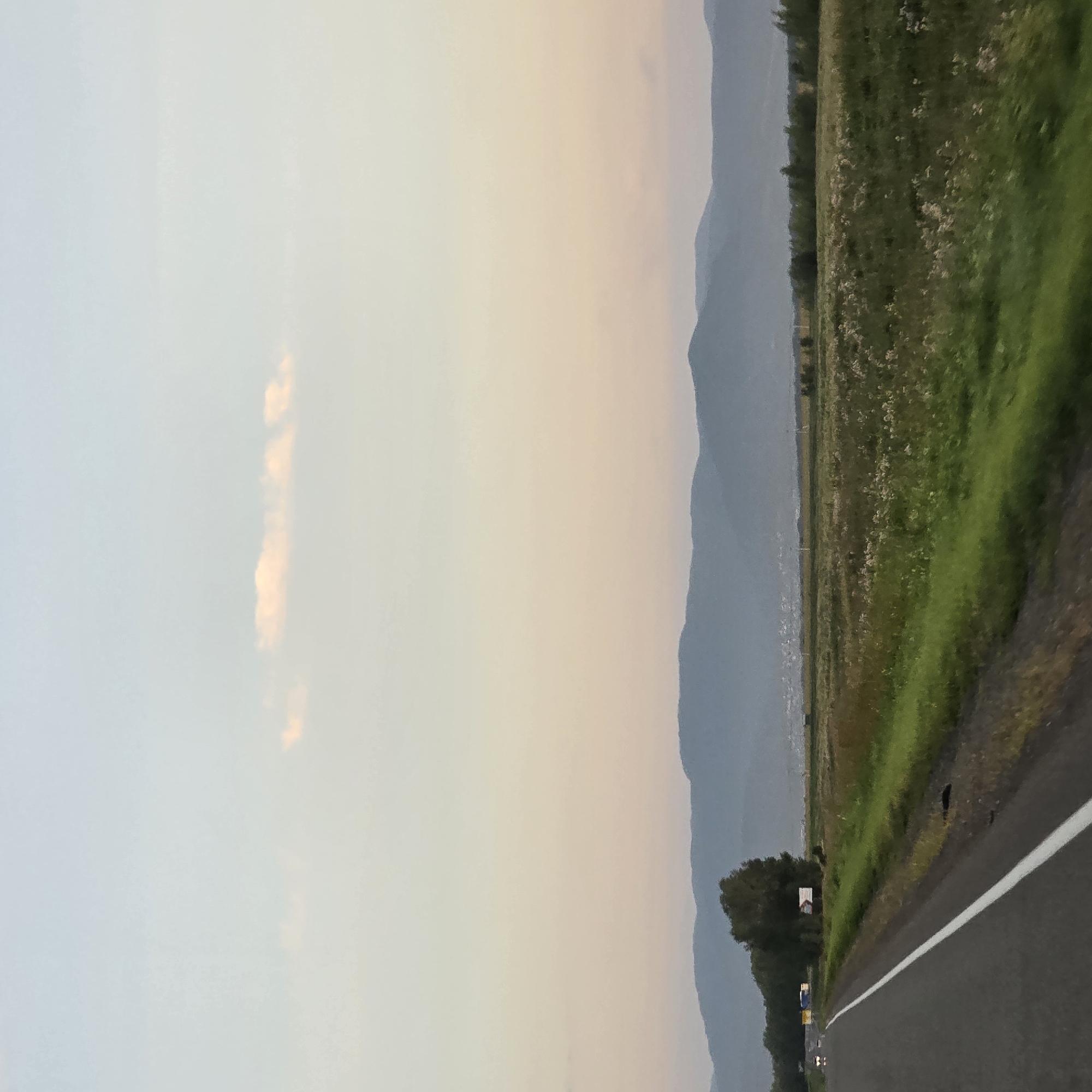 The image depicts a scenic landscape that appears to be a rural road in or near the city of Starobelokurikha, Russia. The foreground is dominated by an asphalt road with a white line marking the edge. To the right of the road is a vibrant green field dotted with small white flowers. In the middle ground, a line of trees forms a distinct border between the field and the distant mountains. The mountains themselves are a muted blue-gray, suggesting they are some distance away. The sky above is a soft gradient of pale blue and pink, indicative of either dawn or dusk. A few wispy clouds are scattered across the upper portion of the sky. On the left side of the road, there are a few vehicles visible, including what appear to be trucks and cars. There are also some structures, possibly buildings or signs, visible near the tree line on the left. The overall impression is one of tranquility and natural beauty.