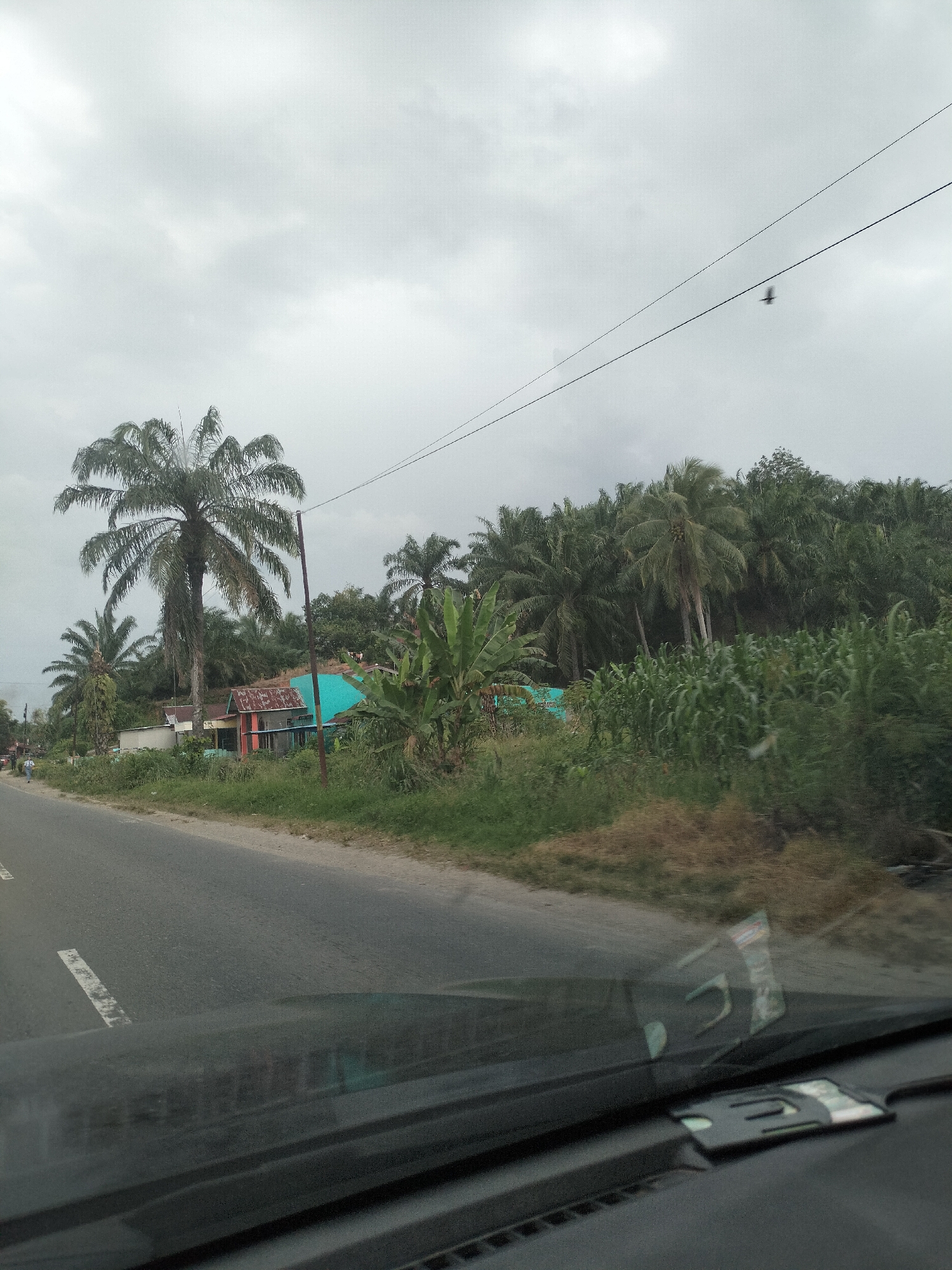 The image depicts a roadside scene in Bukit Selamat, Indonesia, characterized by a cloudy sky and lush tropical vegetation. In the foreground, the asphalt road is visible with white lane markings. The dashboard of a vehicle is reflected in the windshield, obscuring some of the view. Along the roadside, a row of palm trees and banana plants are prominent. Further back, several small, colorful houses are situated, with one notable turquoise-colored building. A dense forest of palm trees forms the backdrop, suggesting a rural or semi-rural environment. A few indistinct figures are seen walking on the side of the road. The overall impression is one of a typical day in a tropical region.