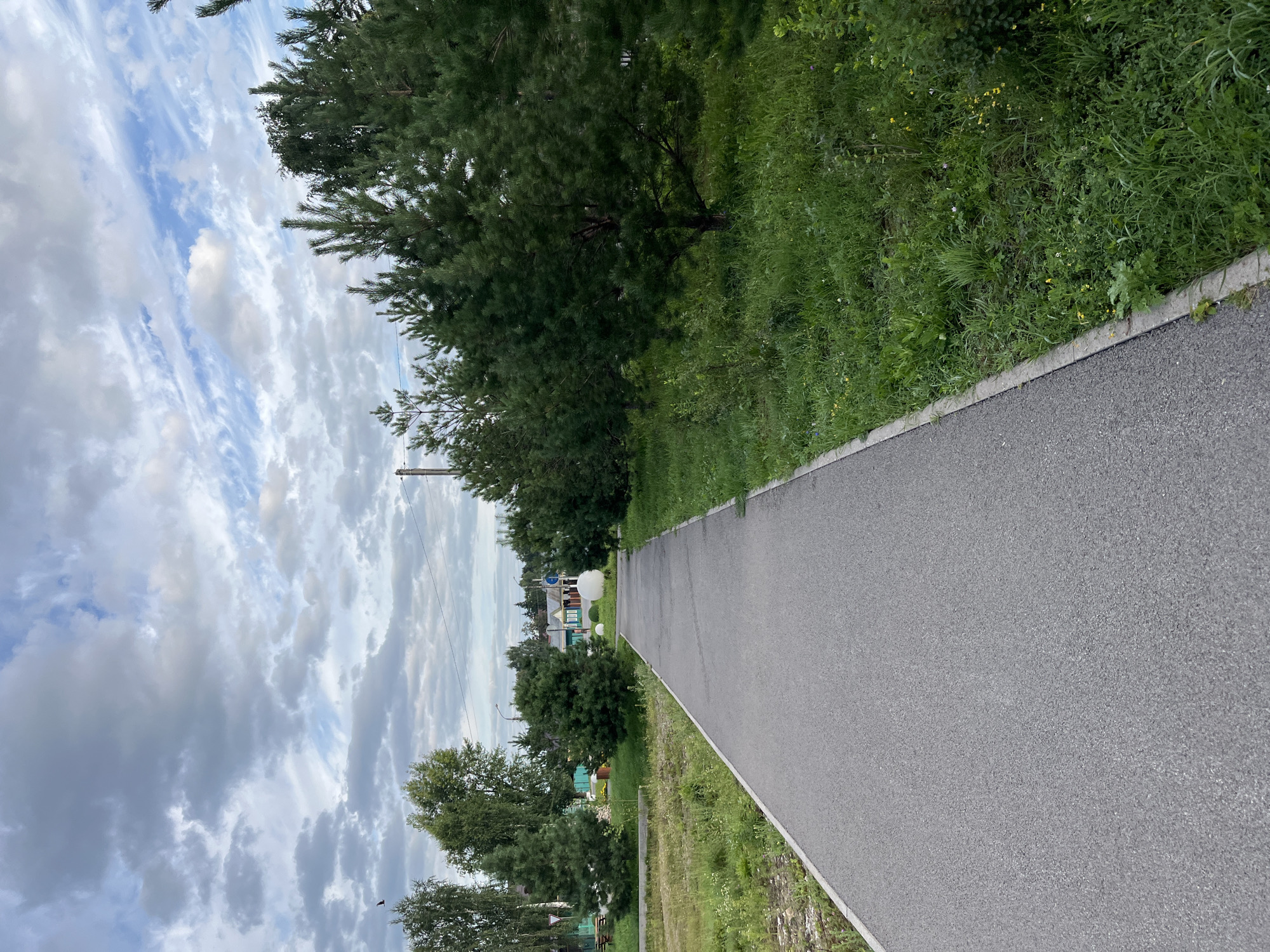 An asphalt pathway curves to the right, bordered by lush green grass and a line of mature pine trees. Beyond the trees, a small village is visible with houses, some with yellow siding, and a distant smokestack. The sky is overcast with dramatic, wispy clouds. The overall scene depicts a quiet, semi-rural environment with a focus on the natural landscape and a glimpse of residential structures. There are no people or animals visible in the image.